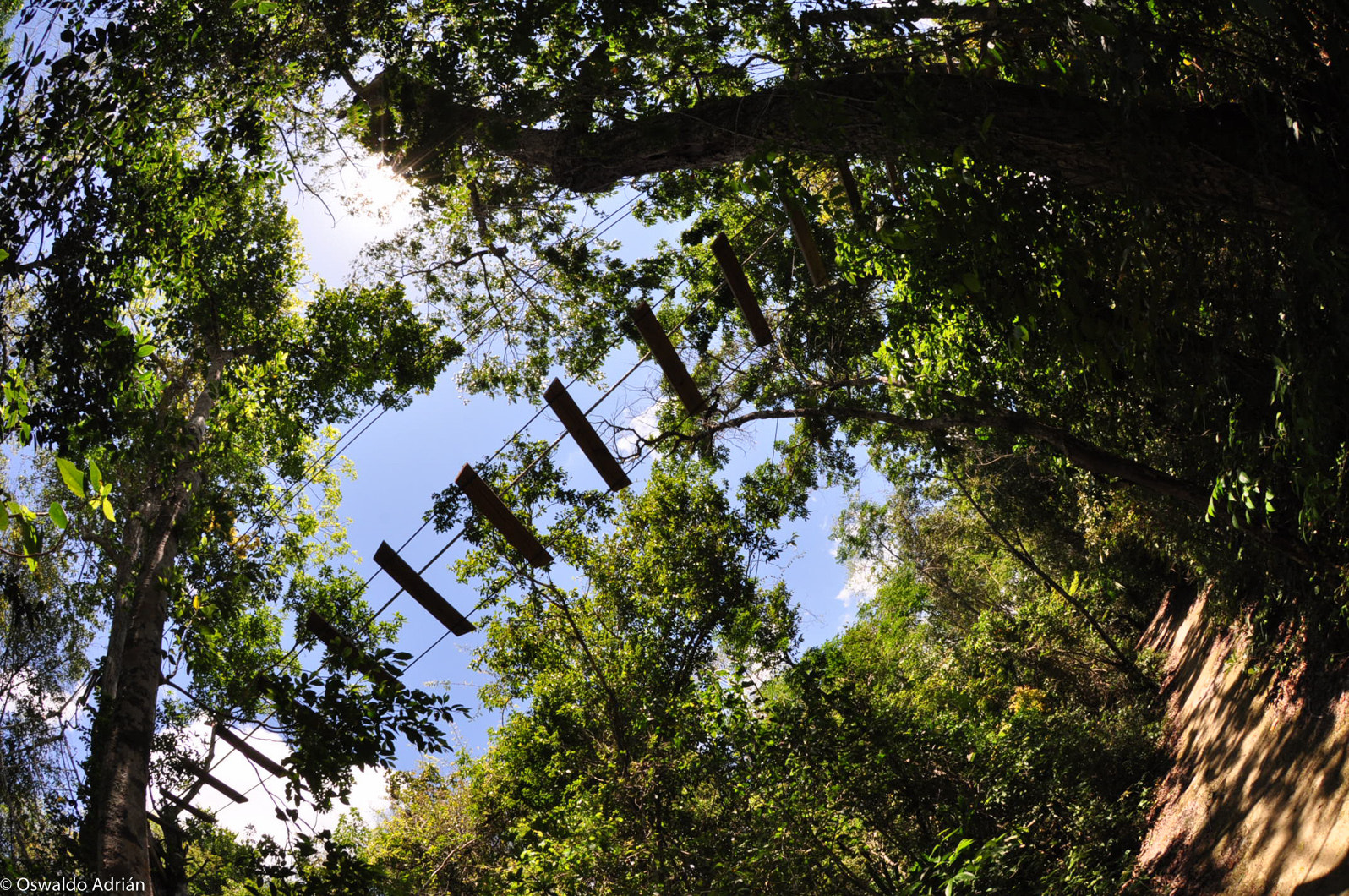 Nikon AF DX Fisheye-Nikkor 10.5mm F2.8G ED sample photo. Puente colgante photography