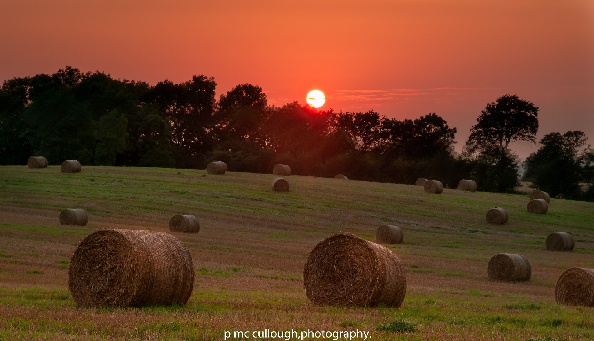 Nikon D300 sample photo. Sunset field , co antrim ireland. photography
