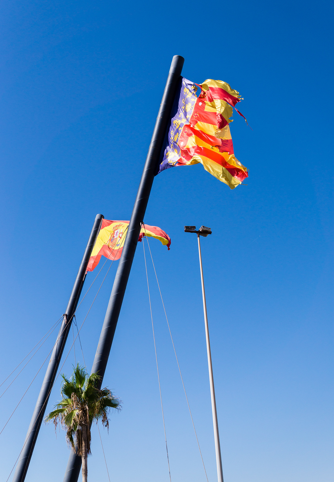 Sony Alpha a5000 (ILCE 5000) + Sigma 30mm F2.8 EX DN sample photo. My two flags photography