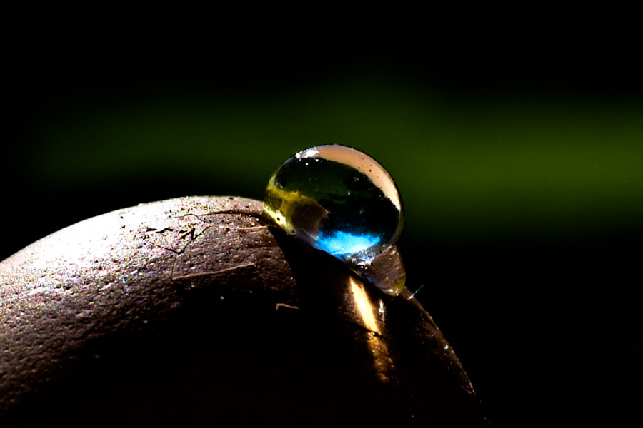 Nikon AF Nikkor 35mm F2D sample photo. Non e` . . . anche se sembra photography