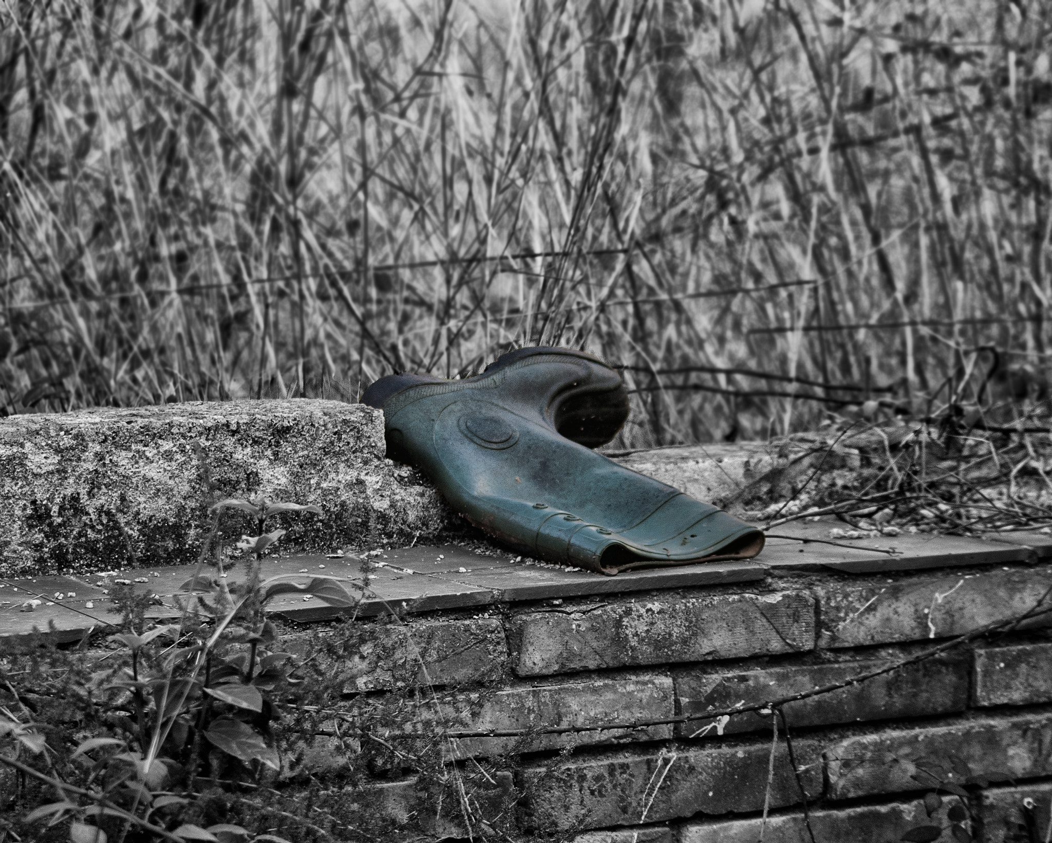 Sigma 70-300mm F4-5.6 APO DG Macro sample photo. Old wellie on a wall photography