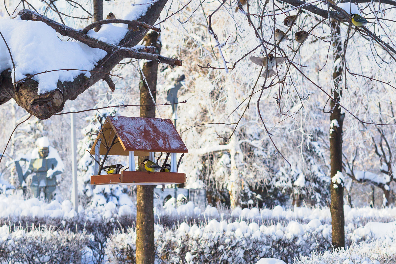 Canon EOS-1D Mark IV sample photo. Russian winter. frost and sun, frost and snow drif photography