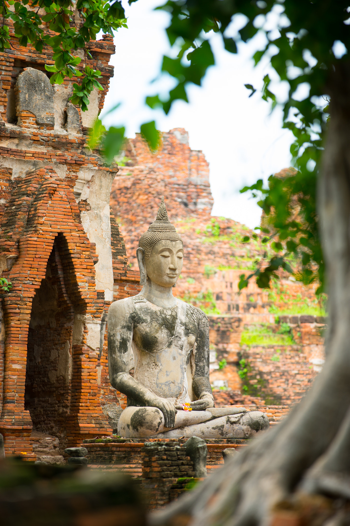 Sony a7 II + Canon EF 70-200mm F2.8L IS II USM sample photo. Buddha status's head from ayutthaya ruin, thailand photography
