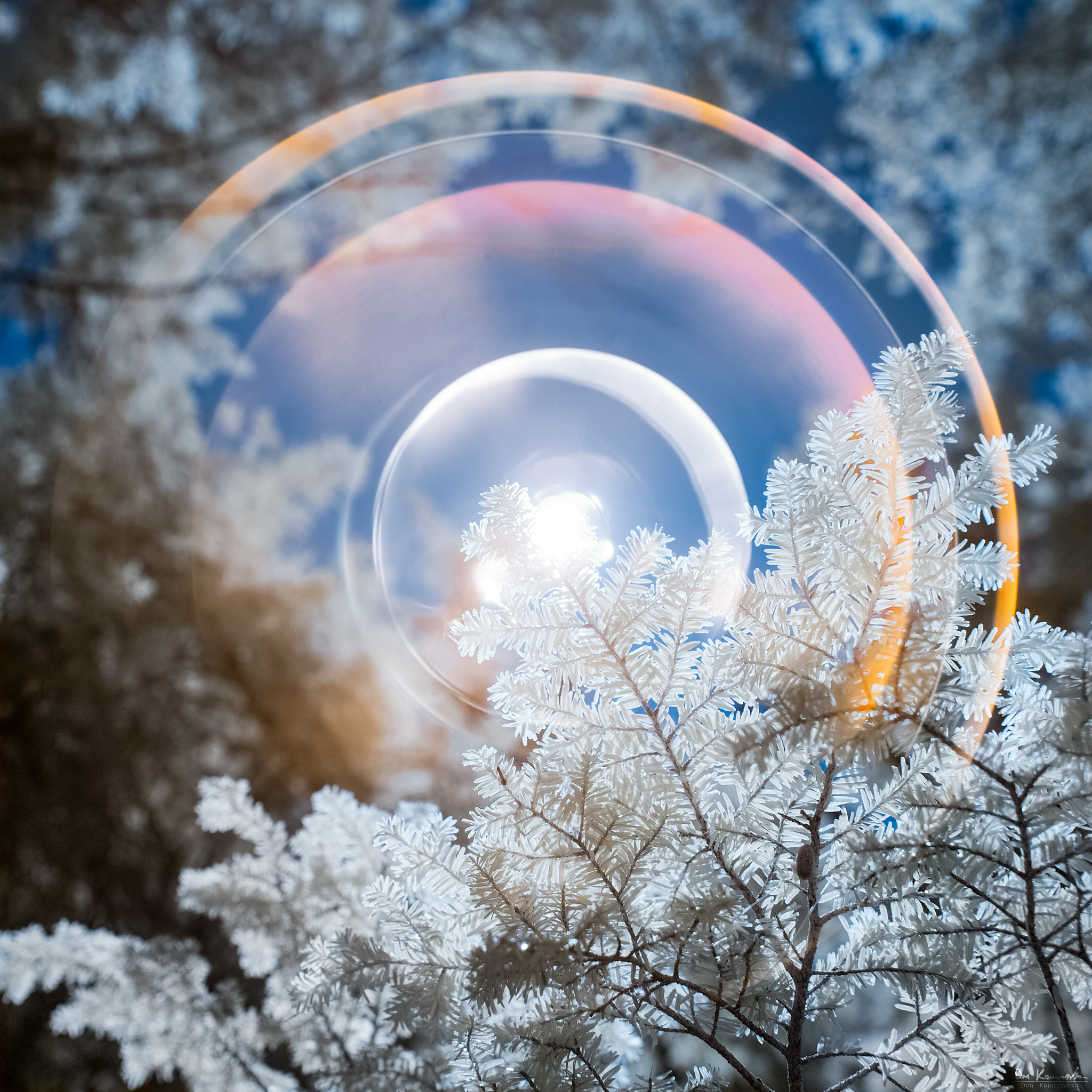 Canon EF 24mm F1.4L II USM sample photo. Circles of the sun photography