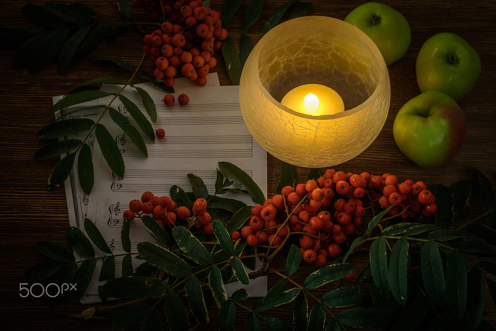 Nikon D750 + AF Micro-Nikkor 60mm f/2.8 sample photo. Painting. still life with notes, flowers, fruit, rowan on wood background. it can be used to... photography