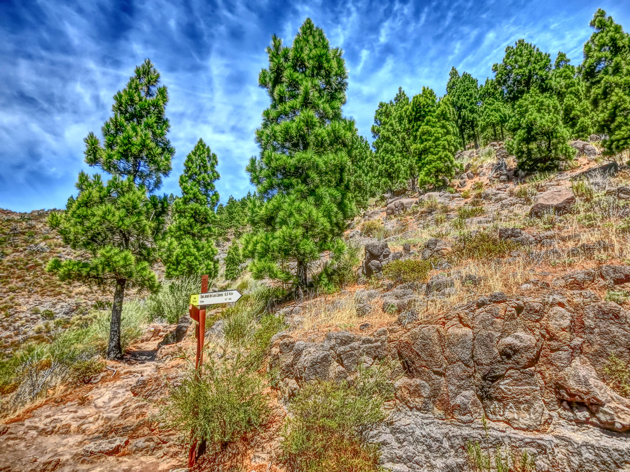 CASIO EX-ZR500 sample photo. Tenerife hiking photography