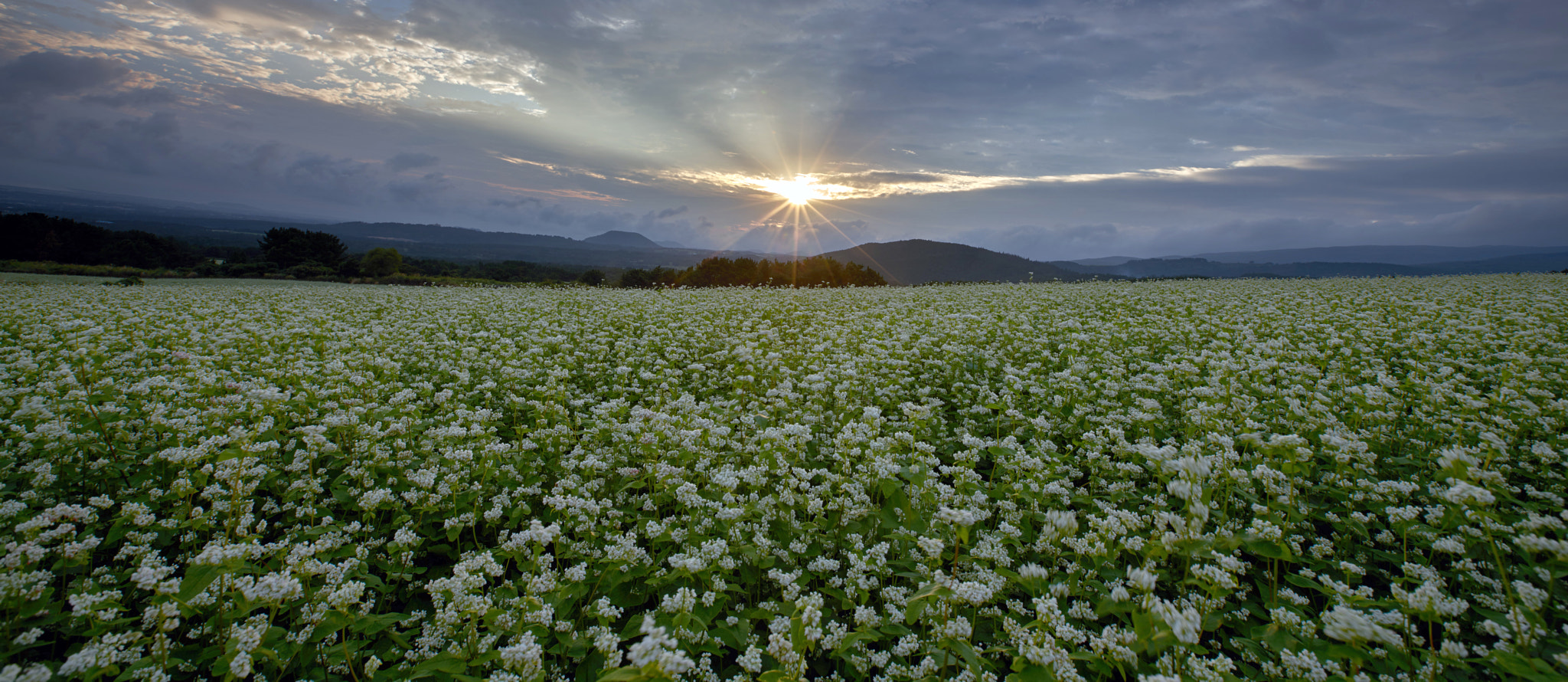 Sony a7R II + Sony DT 50mm F1.8 SAM sample photo. Sunrise photography