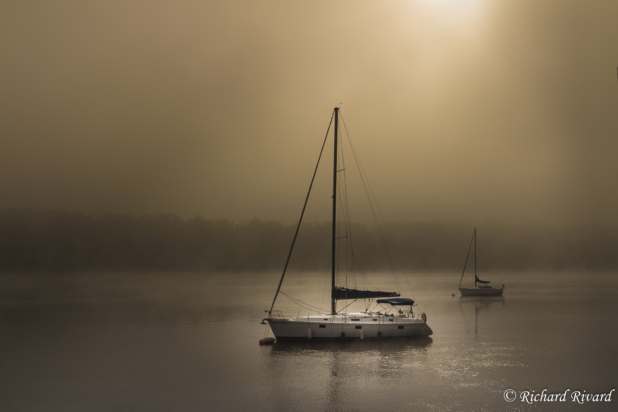 Canon EF 16-35mm F2.8L II USM sample photo. Foggy morning photography