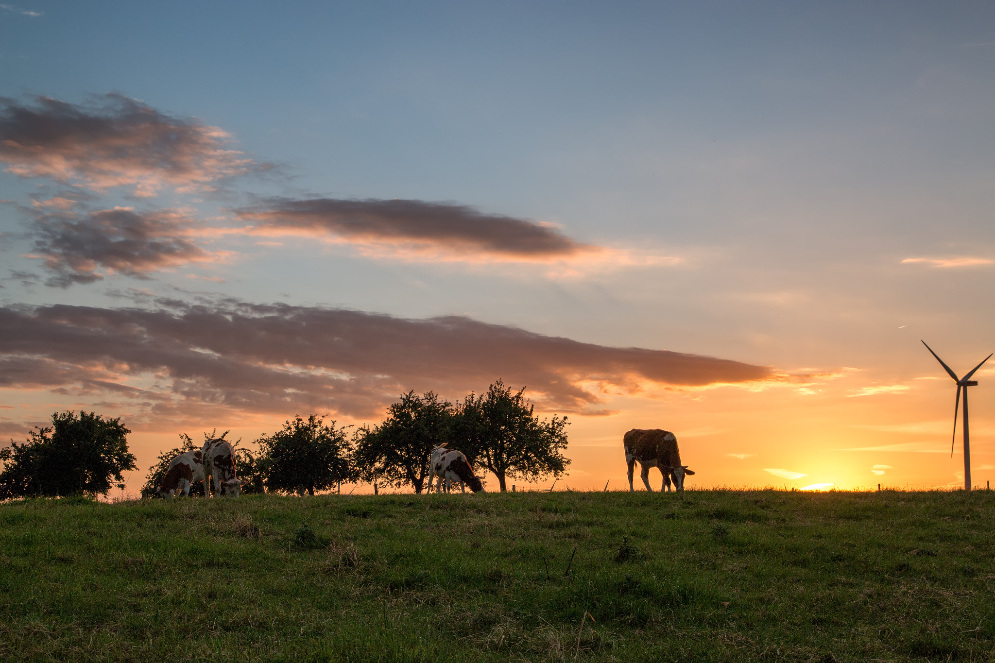 Countryside Sunset