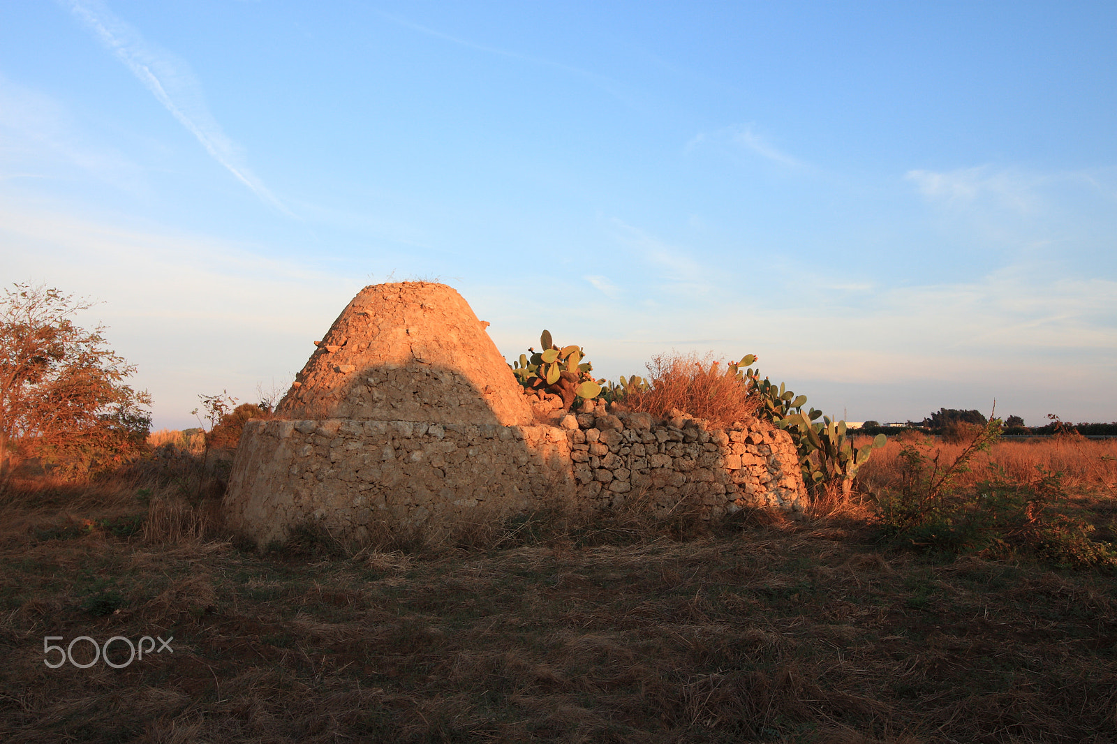 Canon EOS 500D (EOS Rebel T1i / EOS Kiss X3) sample photo. Campagna pugliese, tramonto photography