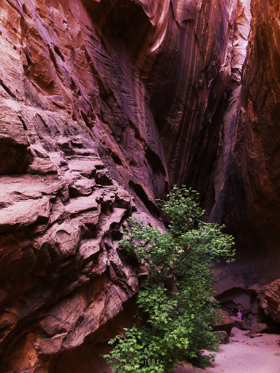 Nikon E995 sample photo. Slot canyon utah photography
