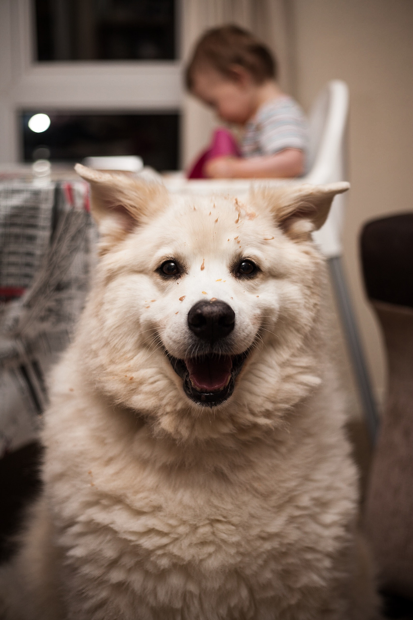 Canon EOS 5D + Canon EF 50mm f/1.8 sample photo. I didn't go anywhere near her chocolate! photography