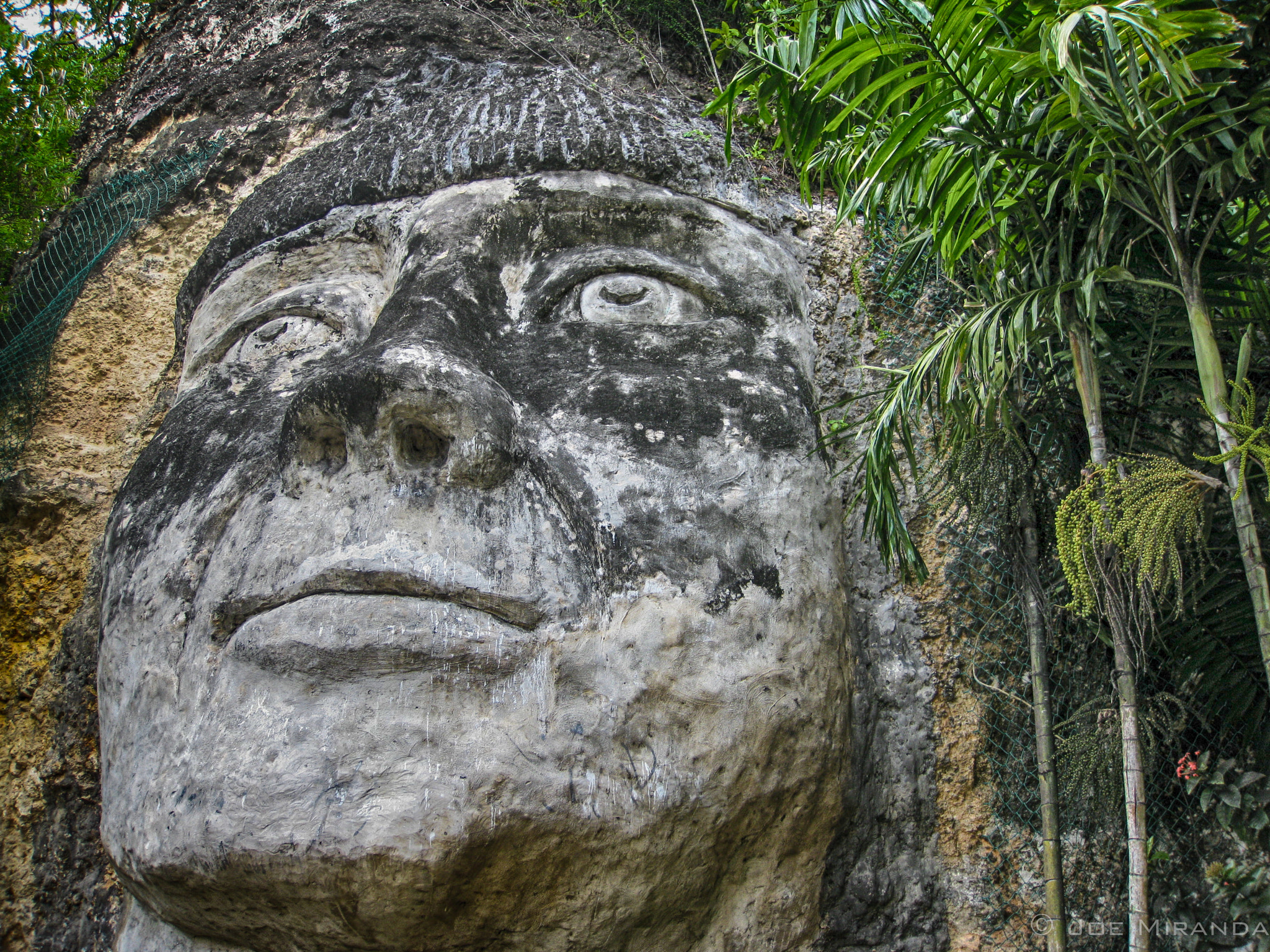 Canon PowerShot SD890 IS (Digital IXUS 970 IS / IXY Digital 820 IS) sample photo. Puerto rico - el taino indio photography