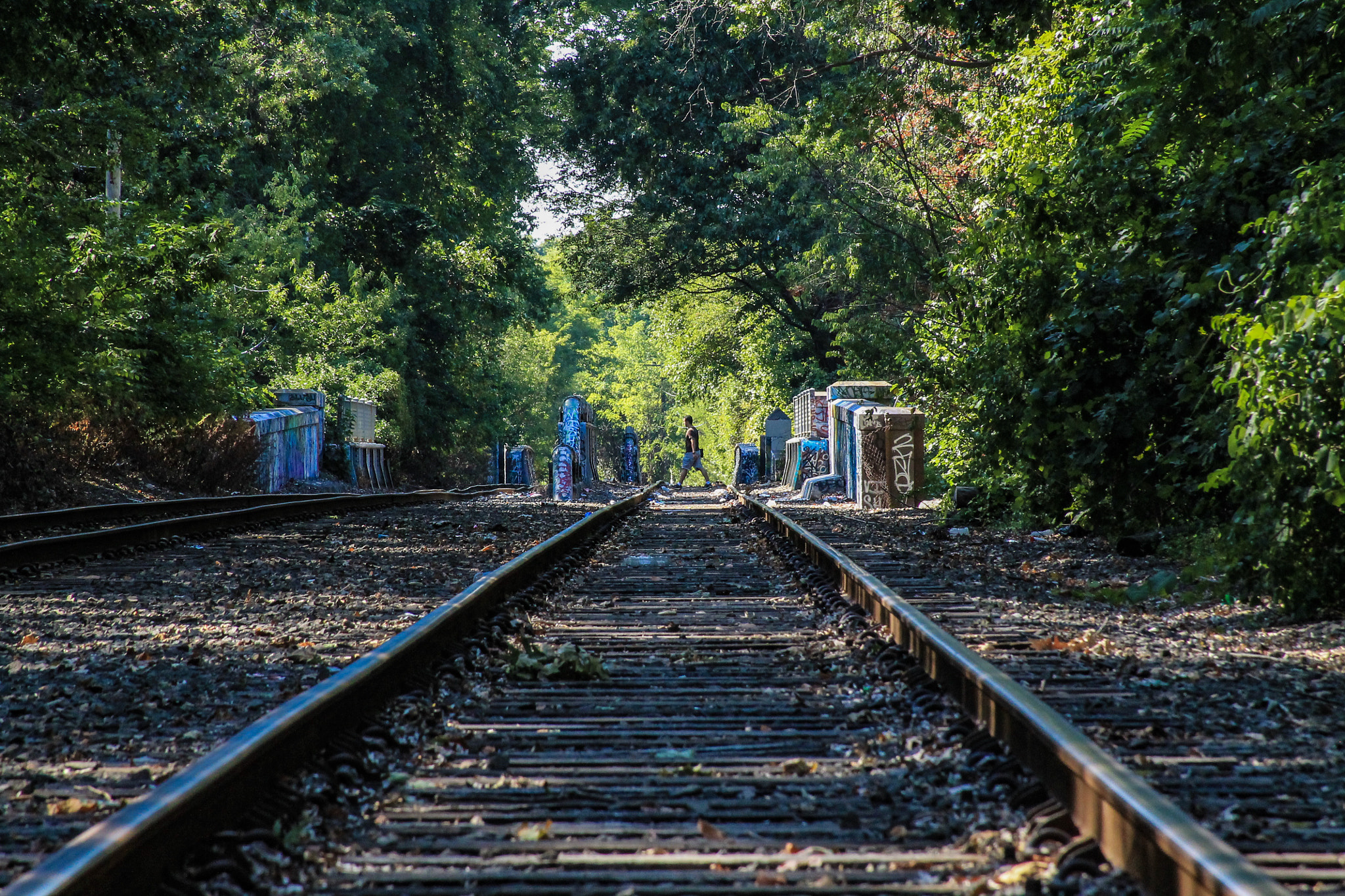 Canon EF 28-135mm F3.5-5.6 IS USM sample photo. We choose are own roads photography
