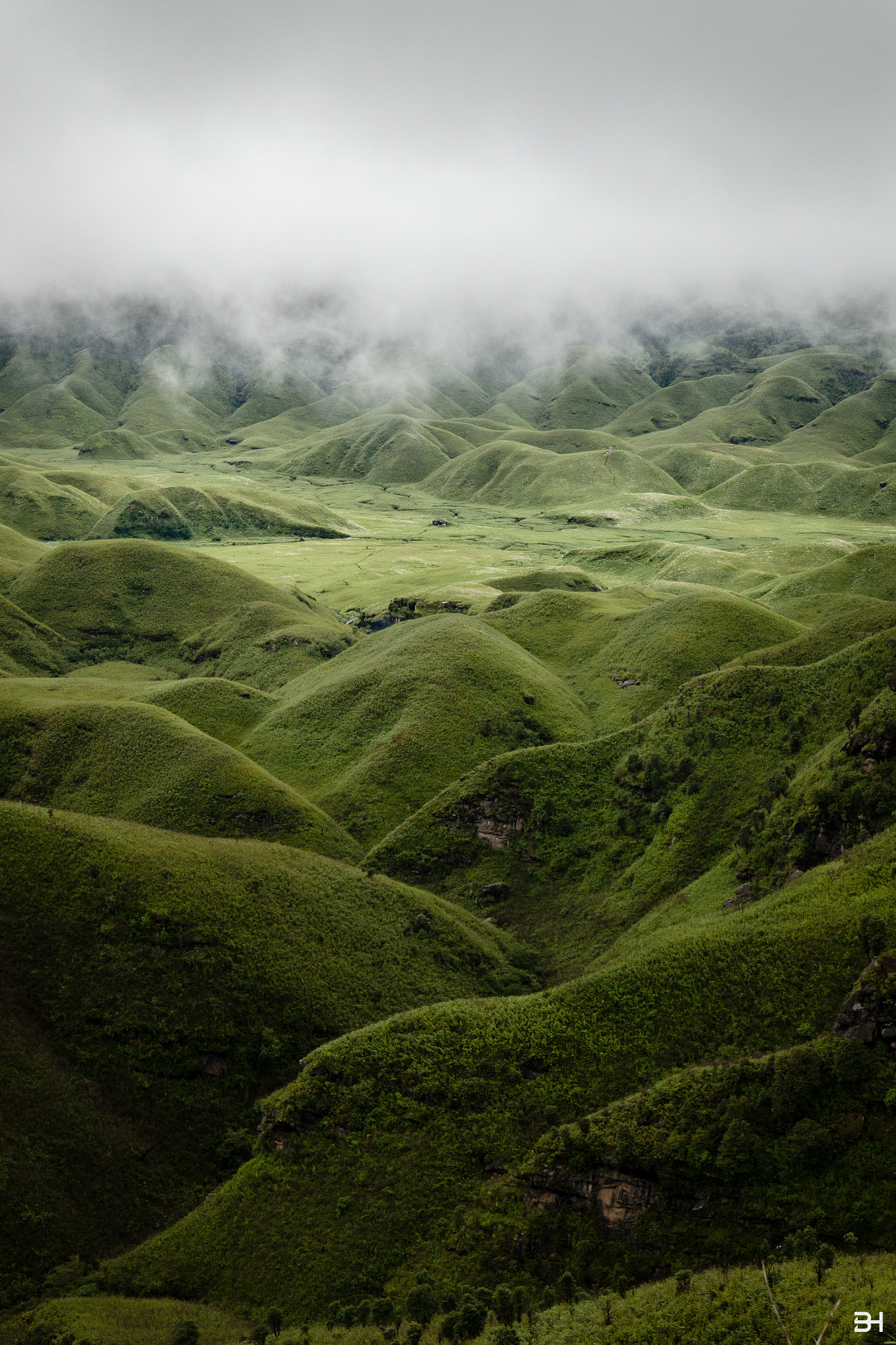 Canon EOS 70D + Canon EF 16-35mm F4L IS USM sample photo. Dzukou valley, india photography