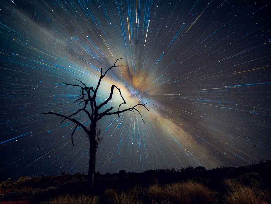 Sony a7S + Canon EF 300mm f/2.8L sample photo. Uluru tree burst photography