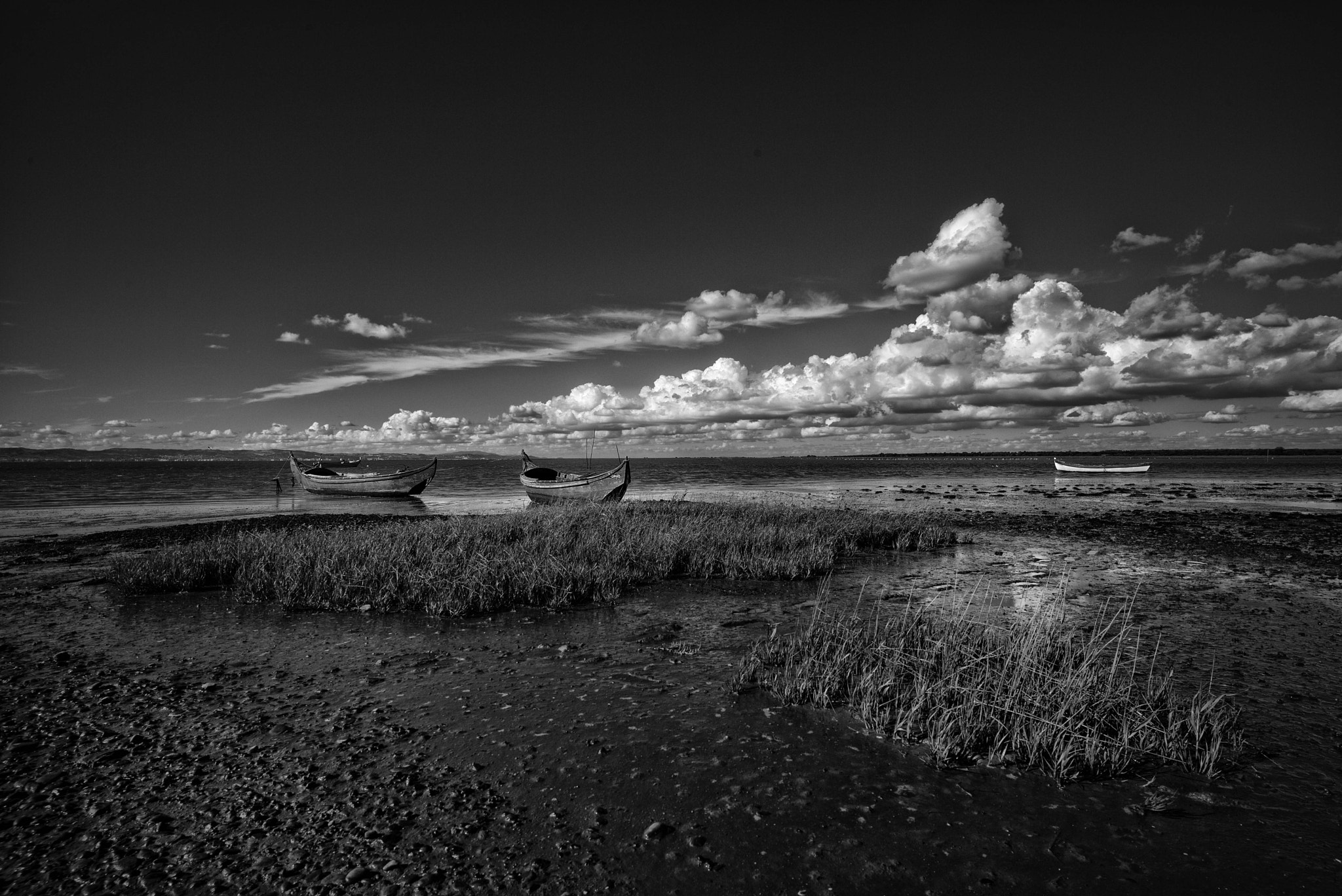 Leica Super-Elmar-M 18mm F3.8 ASPH sample photo. Alcochete photography