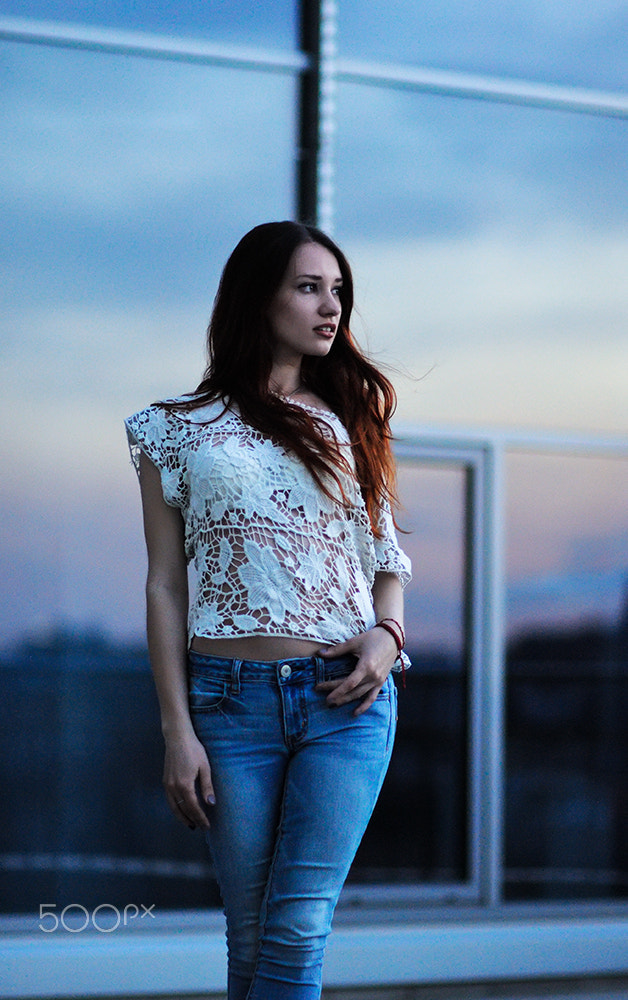 Nikon D90 + Sigma 85mm F1.4 EX DG HSM sample photo. Blue dusk photography