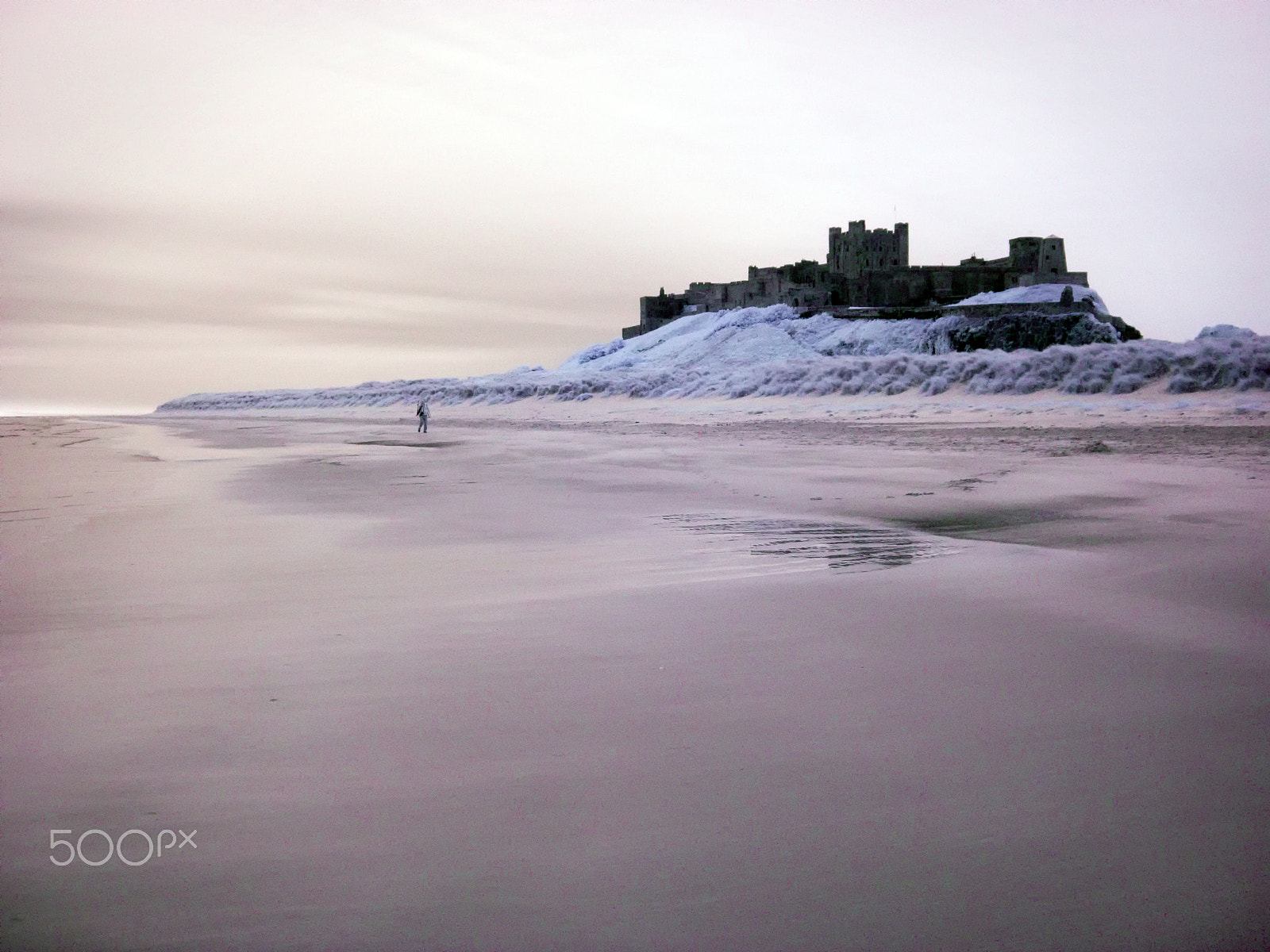 Canon PowerShot A800 sample photo. Bamburgh castle northumberland photography