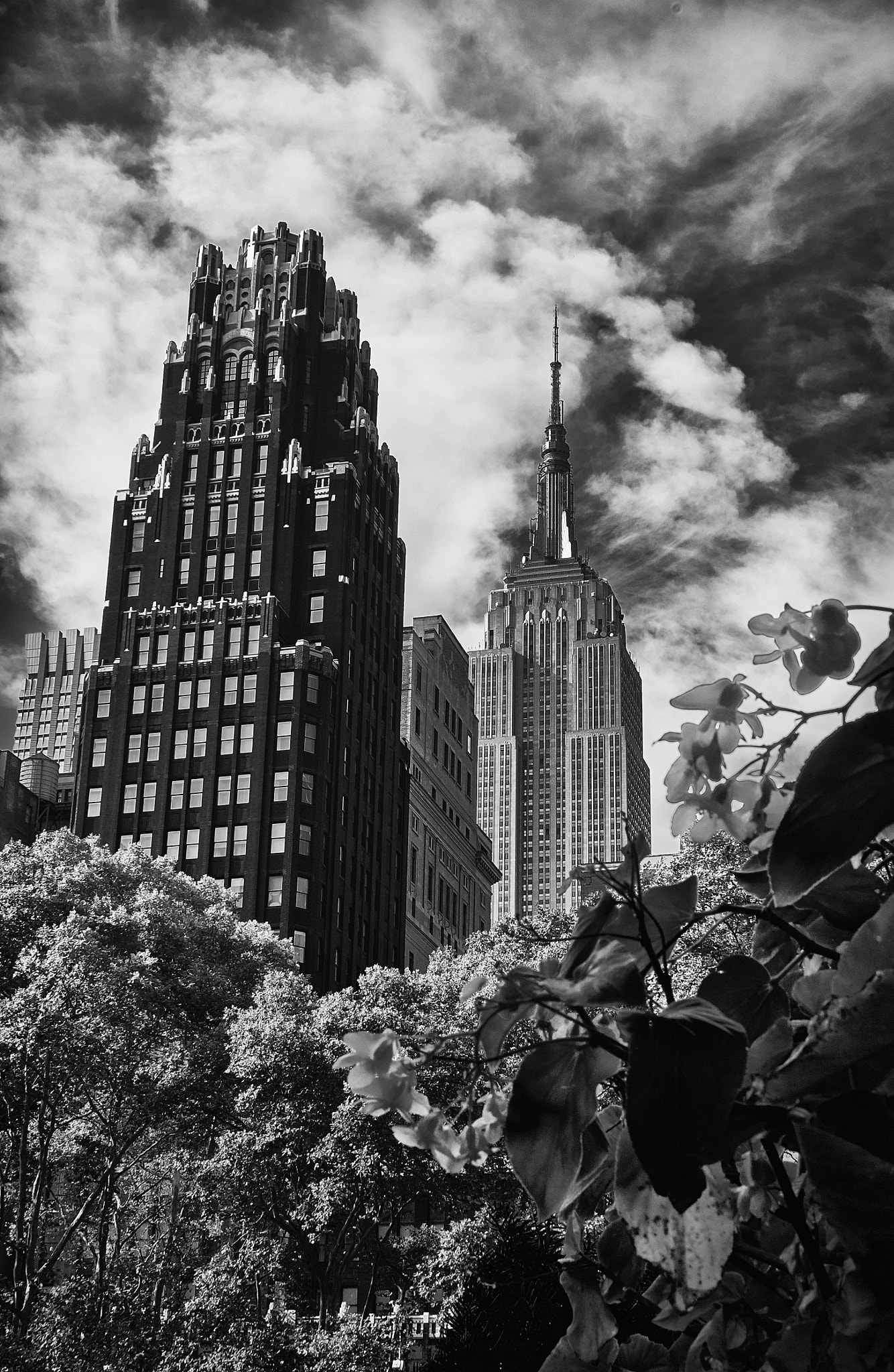 Fujifilm X-T1 + ZEISS Touit 32mm F1.8 sample photo. The empire state from bryant park photography