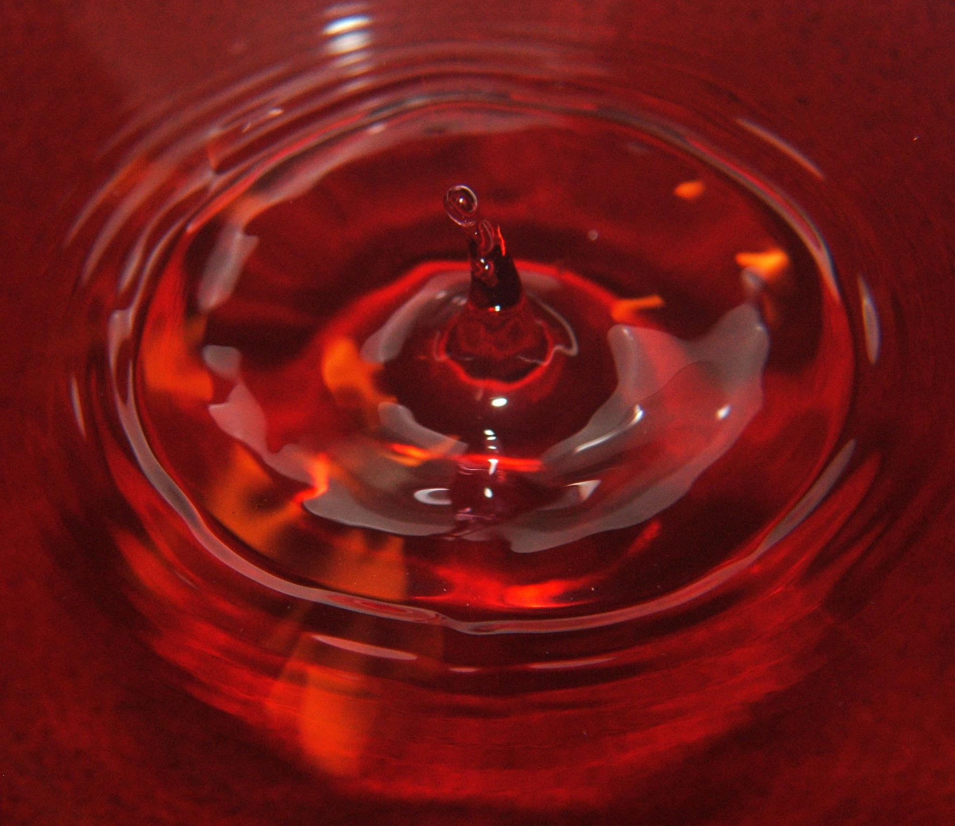 Fujifilm FinePix S3100 sample photo. Droplet macro photography