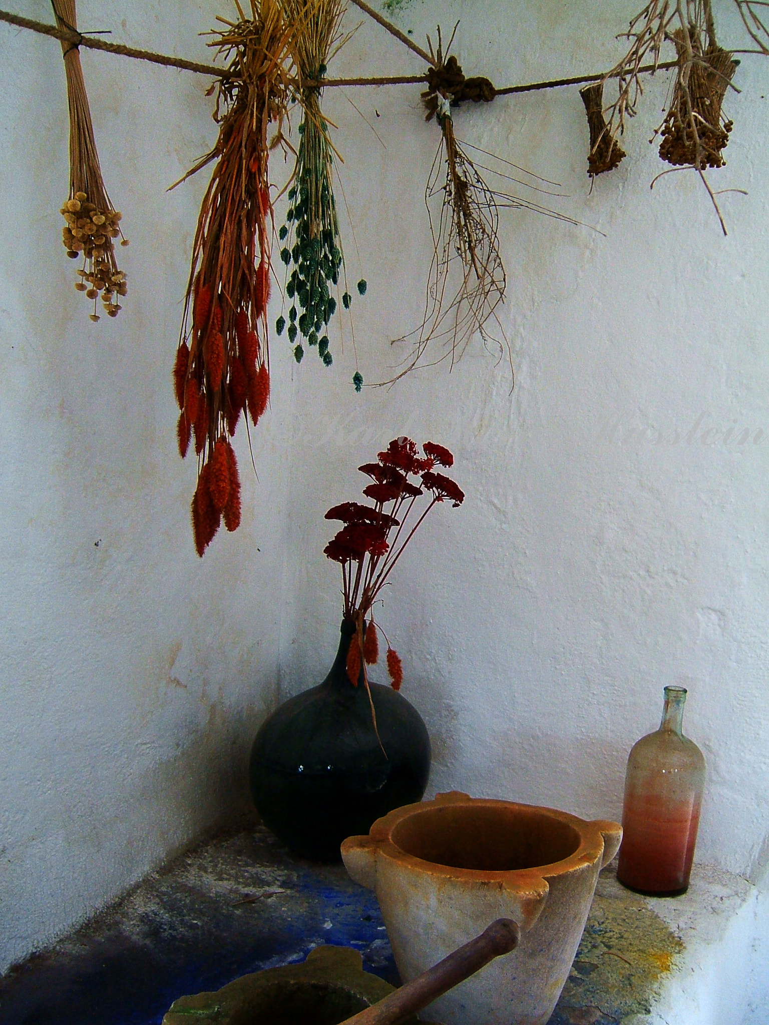 Fujifilm FinePix E550 sample photo. La granja färberei photography