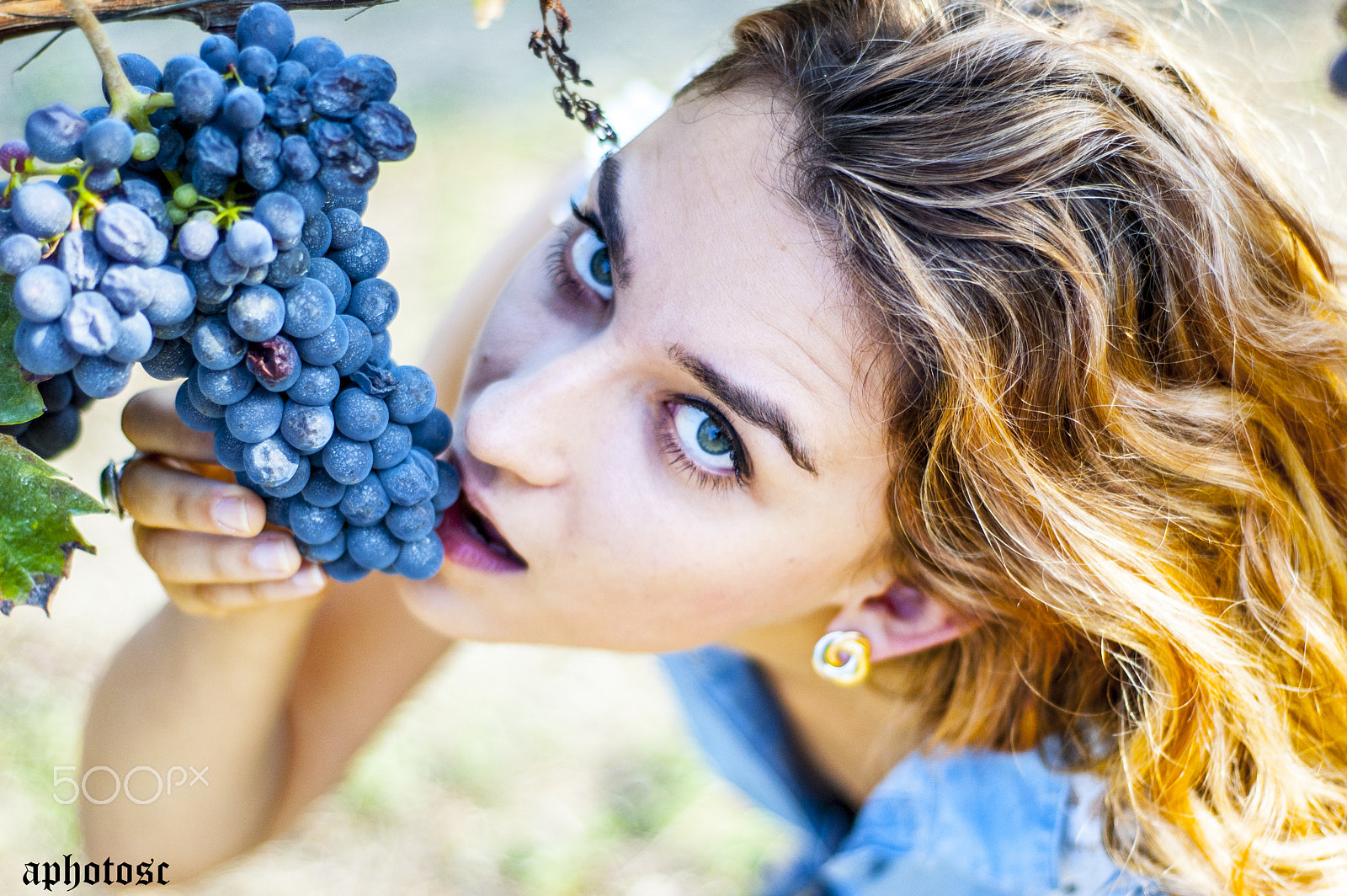 Nikon D70 + Nikon AF Nikkor 50mm F1.8D sample photo. Grapevine ready - elena photography