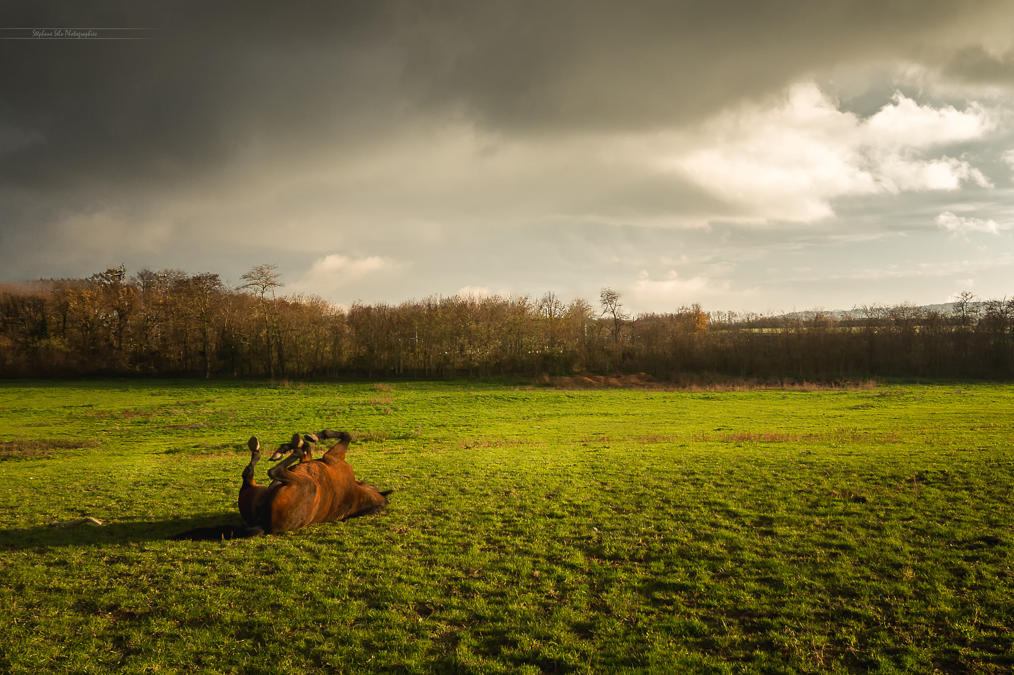 Sigma AF 10-20mm F4-5.6 EX DC sample photo. Having the 4 irons in the air ! photography