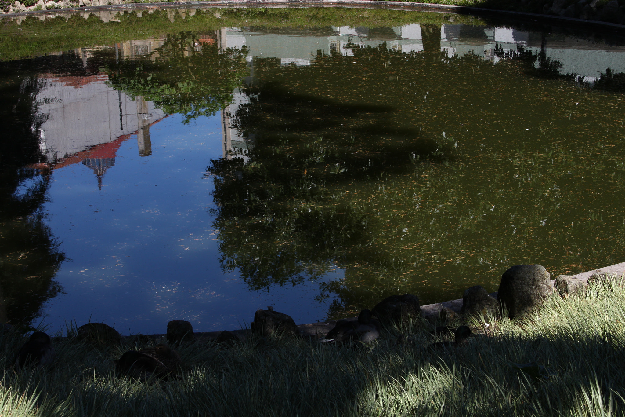 Canon EF-S 18-55mm F3.5-5.6 II sample photo. Water reflection photography