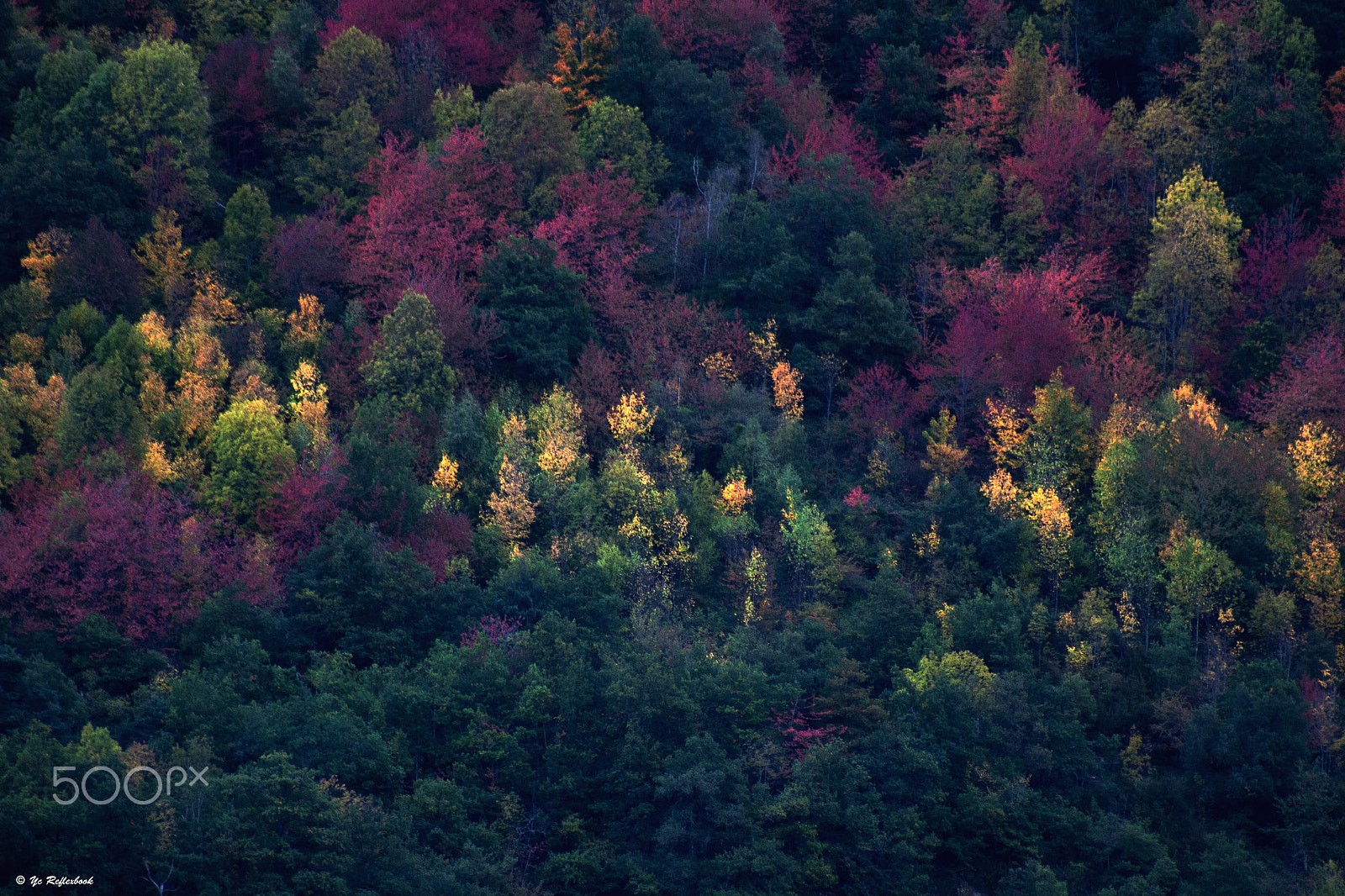 Canon EF 75-300mm f/4-5.6 USM sample photo. Autumn colors !!! photography