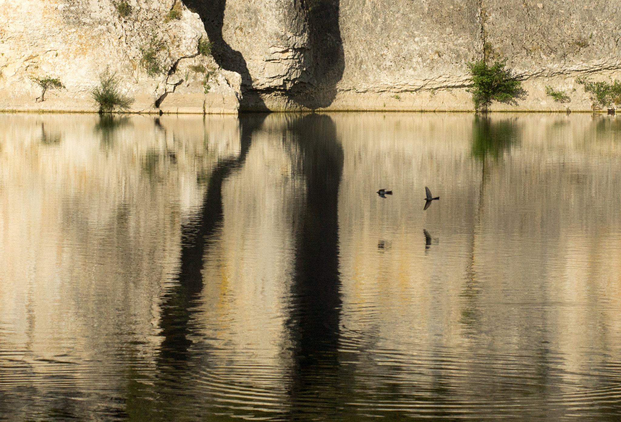 Sony SLT-A77 sample photo. Birds over water photography