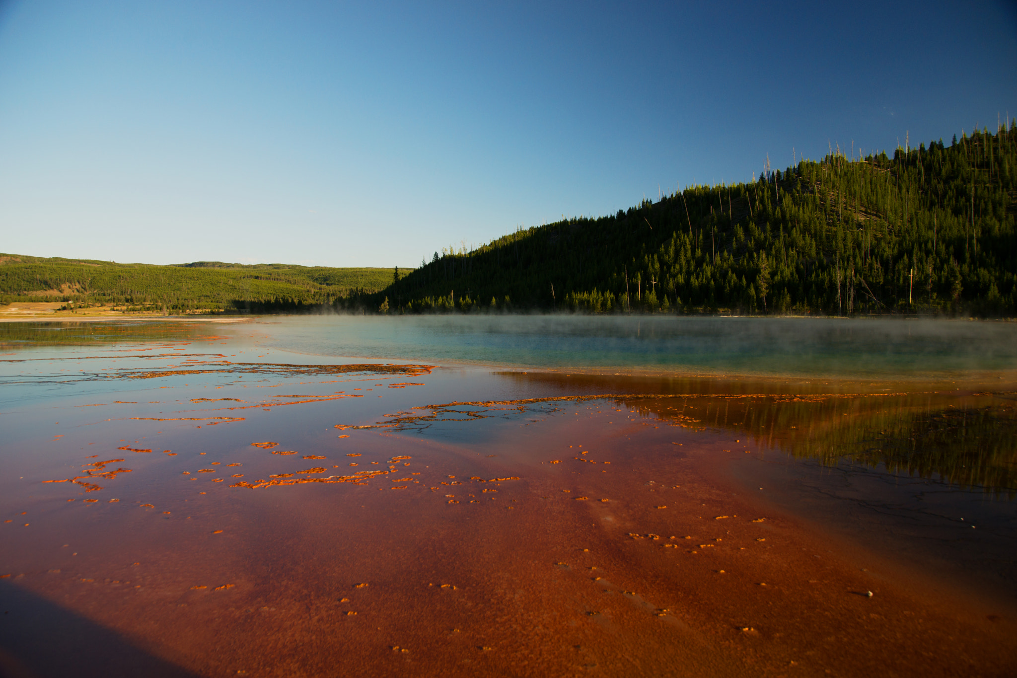 Sony a99 II + 24-105mm F4 sample photo. Yellowstone photography