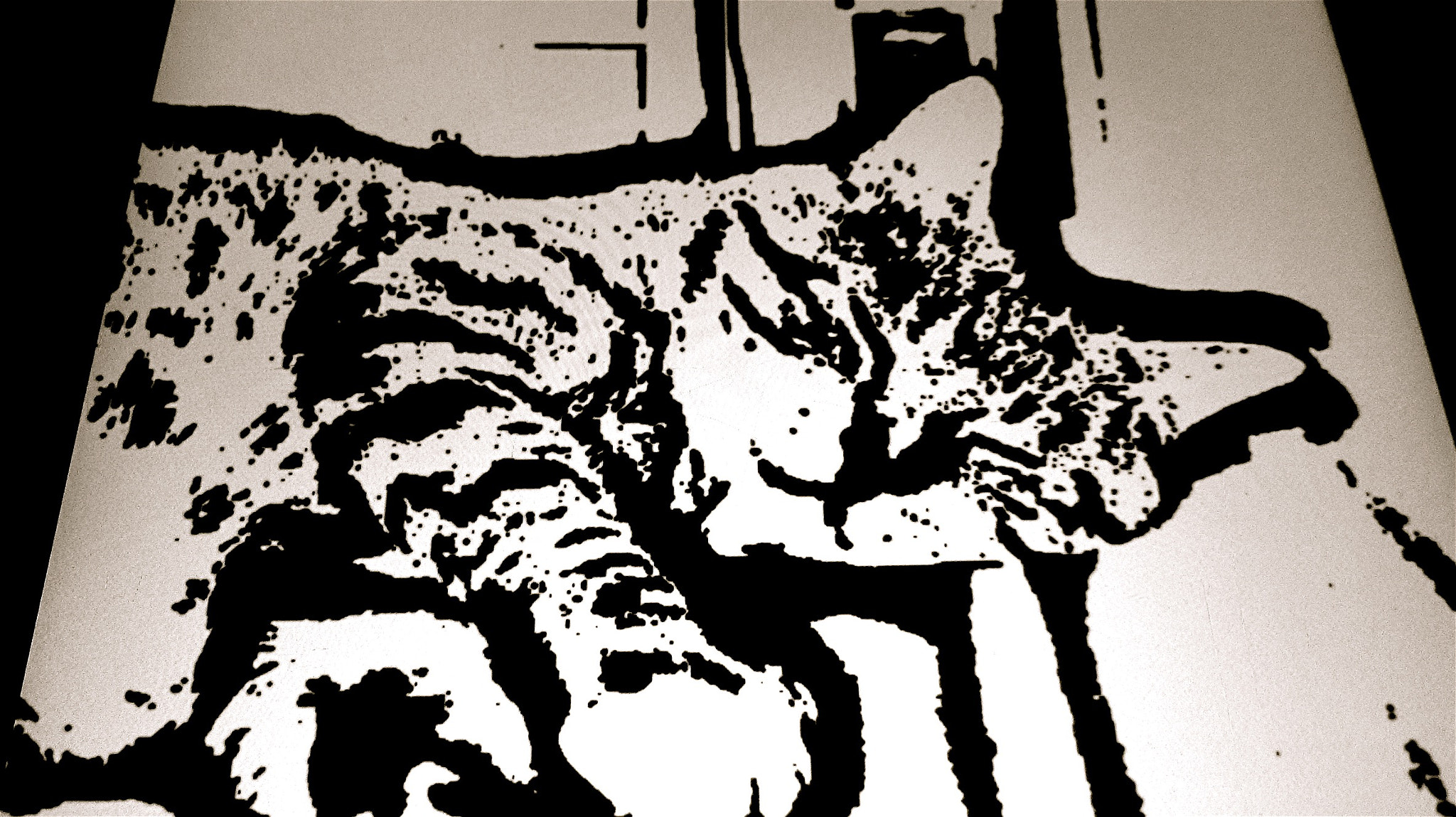 Canon PowerShot SD4000 IS (IXUS 300 HS / IXY 30S) sample photo. Pedro my ancient cat in black and white..... photography