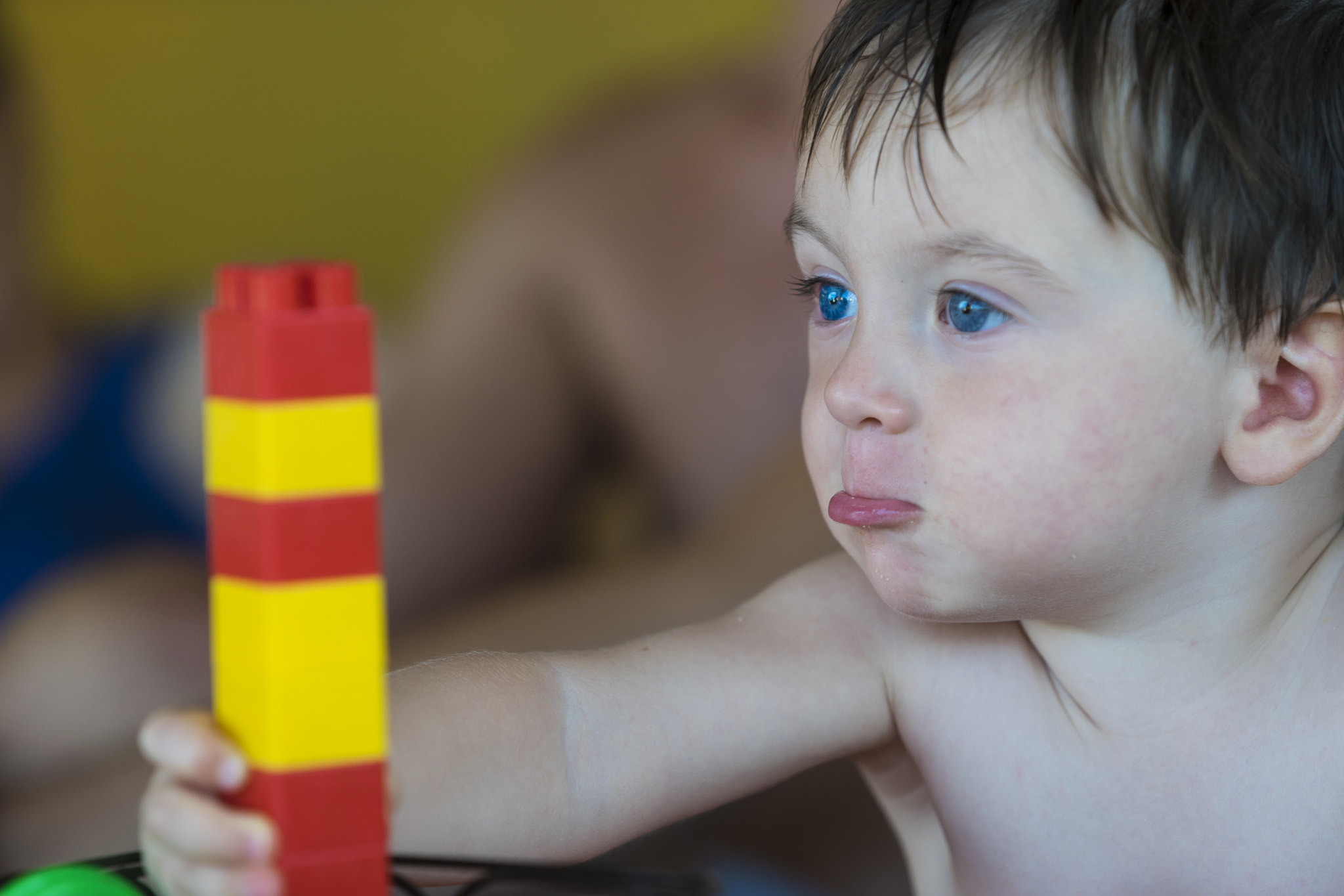 Sony a7 + Canon EF 70-200mm F2.8L USM sample photo