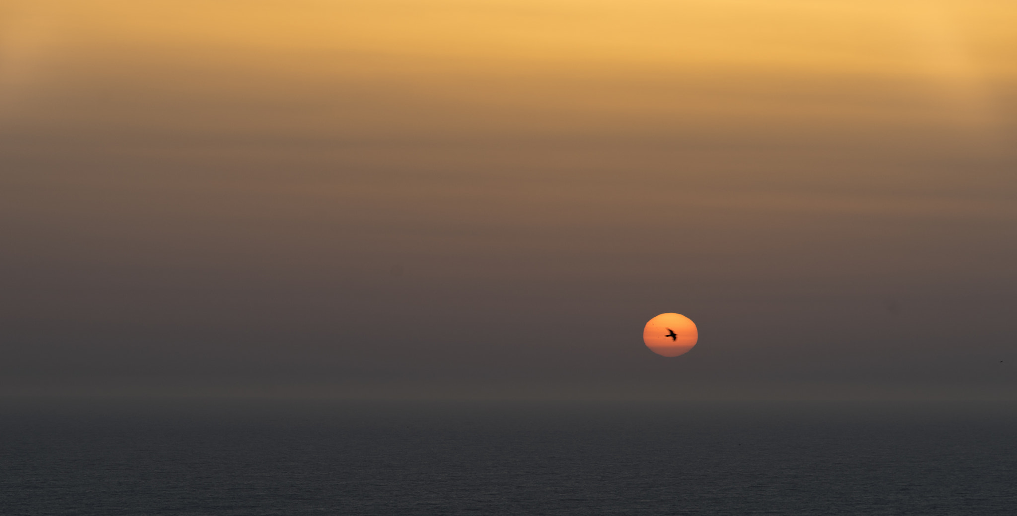 Sony a7 + Canon EF 70-200mm F2.8L USM sample photo