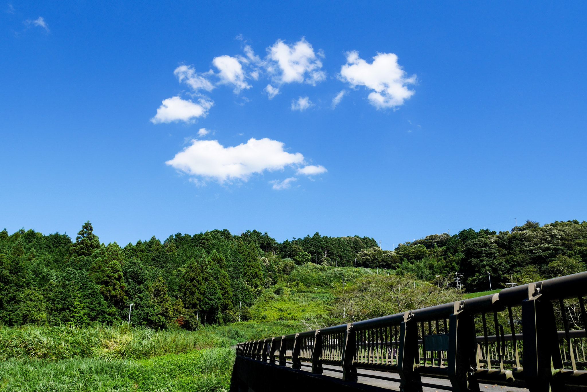 Panasonic Lumix DMC-GM5 sample photo. Olympic cloud photography