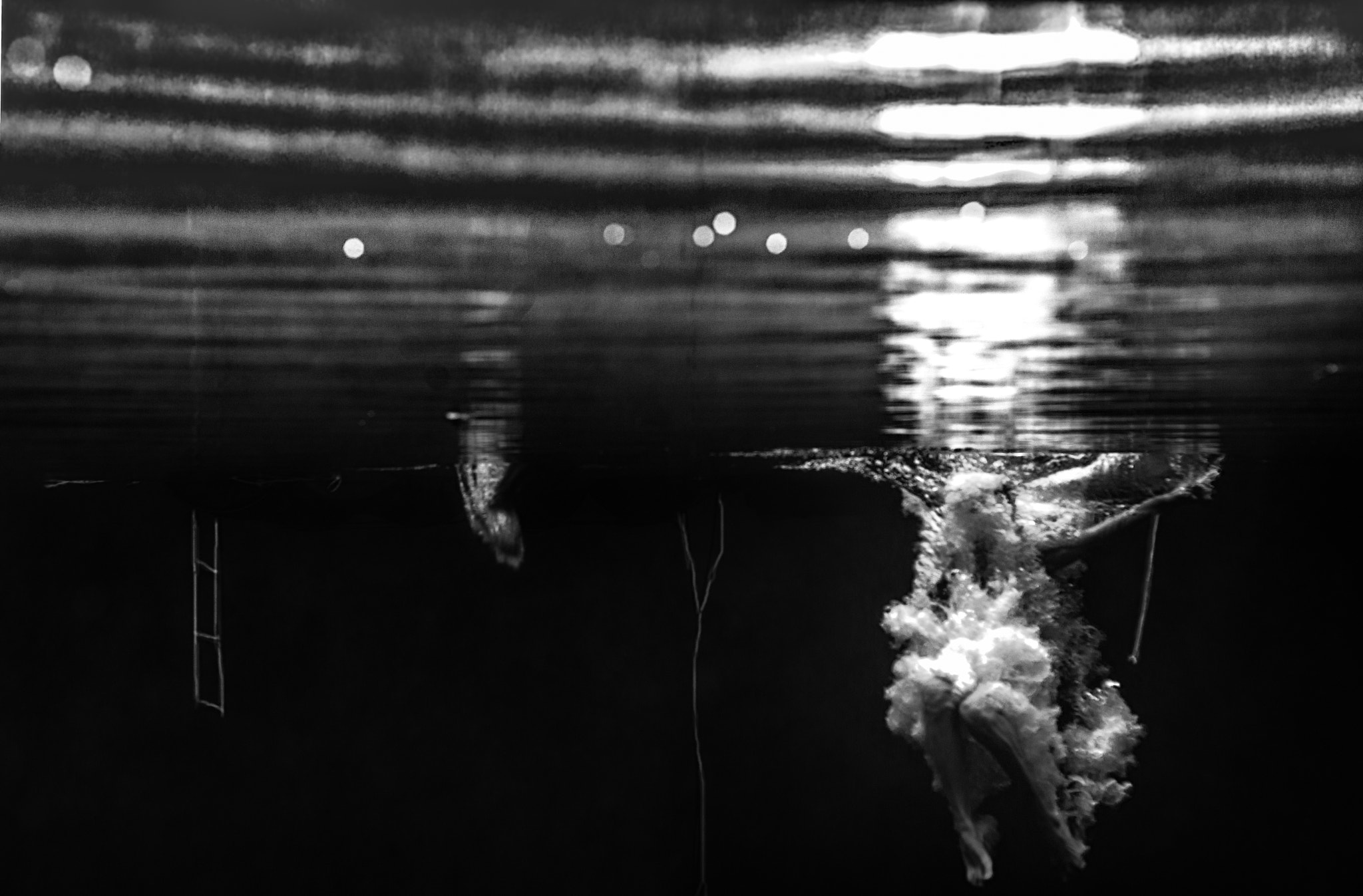 Nikon D3X sample photo. F underwater art a photography