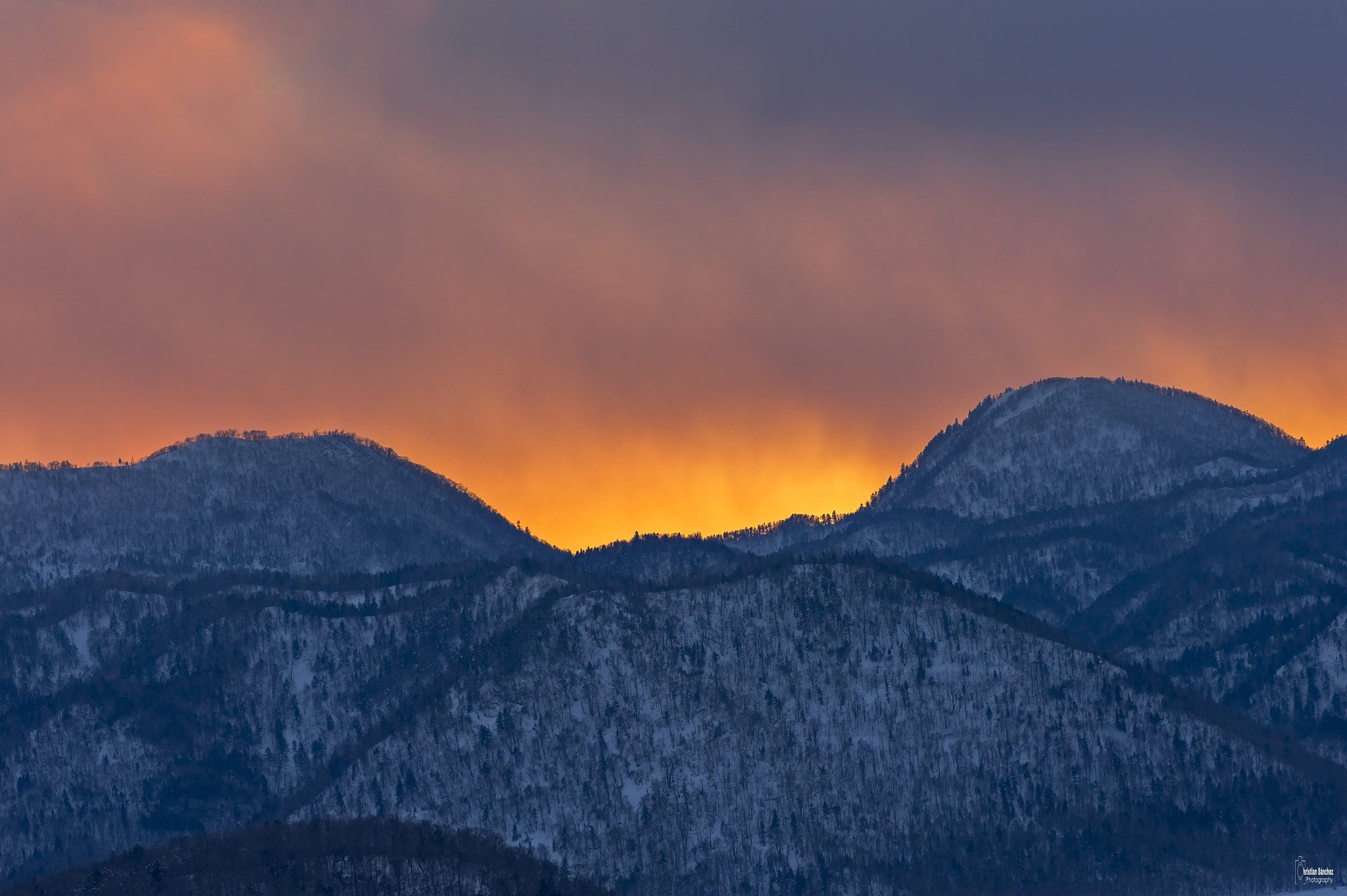 Nikon AF-S Nikkor 300mm F2.8G ED VR II sample photo. Invierno en japon photography