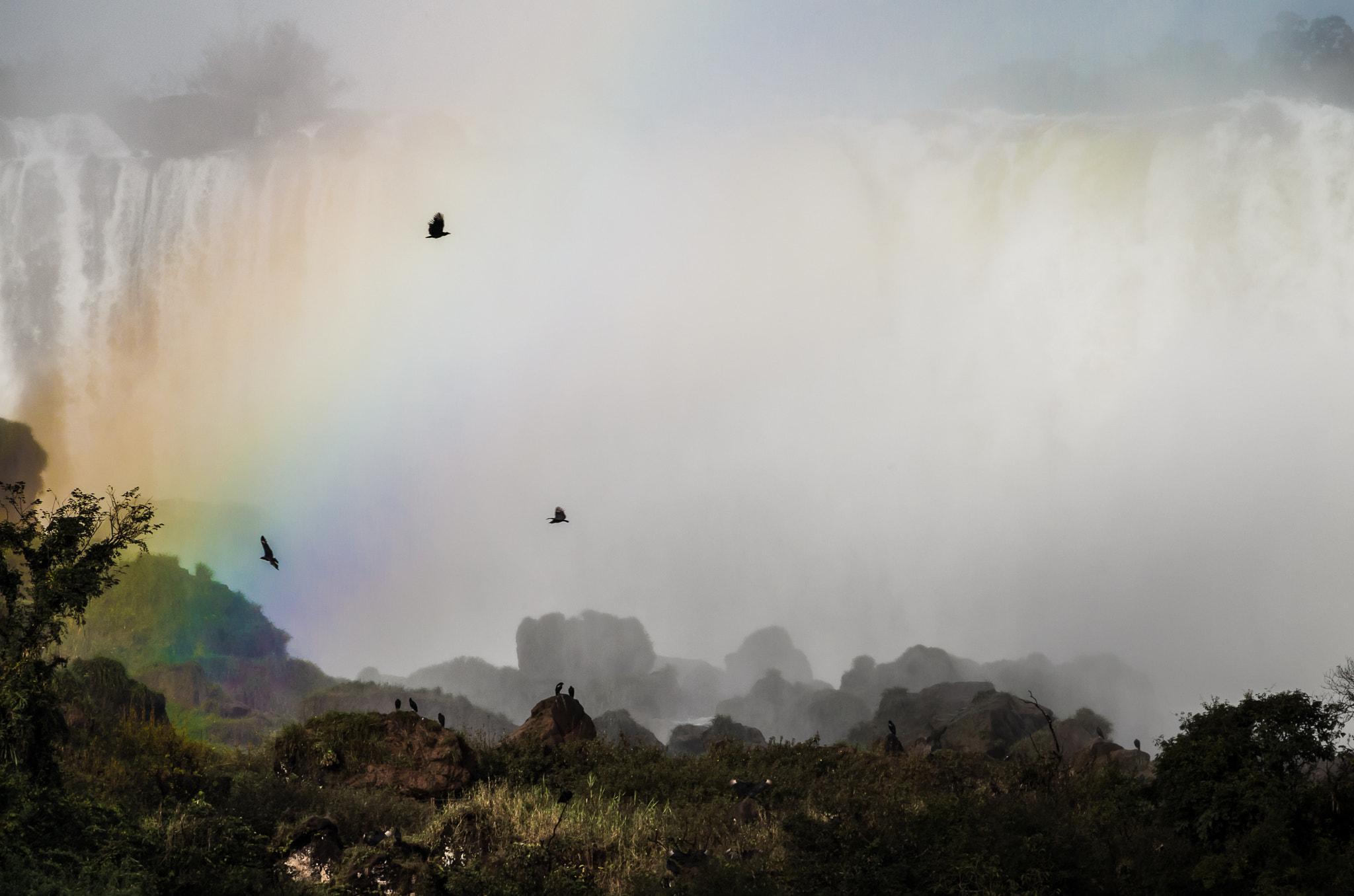 smc PENTAX-DA L 55-300mm F4-5.8 ED sample photo. Over the rainbow photography