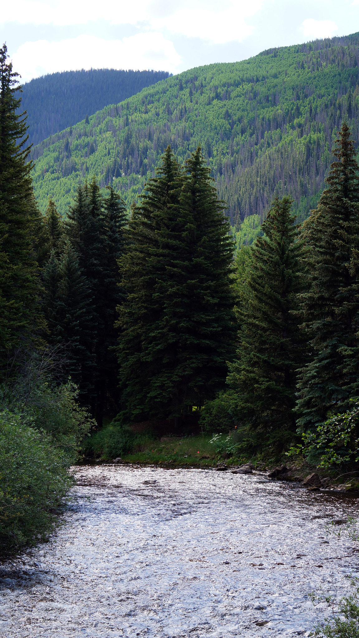 Sony Alpha NEX-F3 + Sony E 55-210mm F4.5-6.3 OSS sample photo. Gore creek in vail, colorado photography