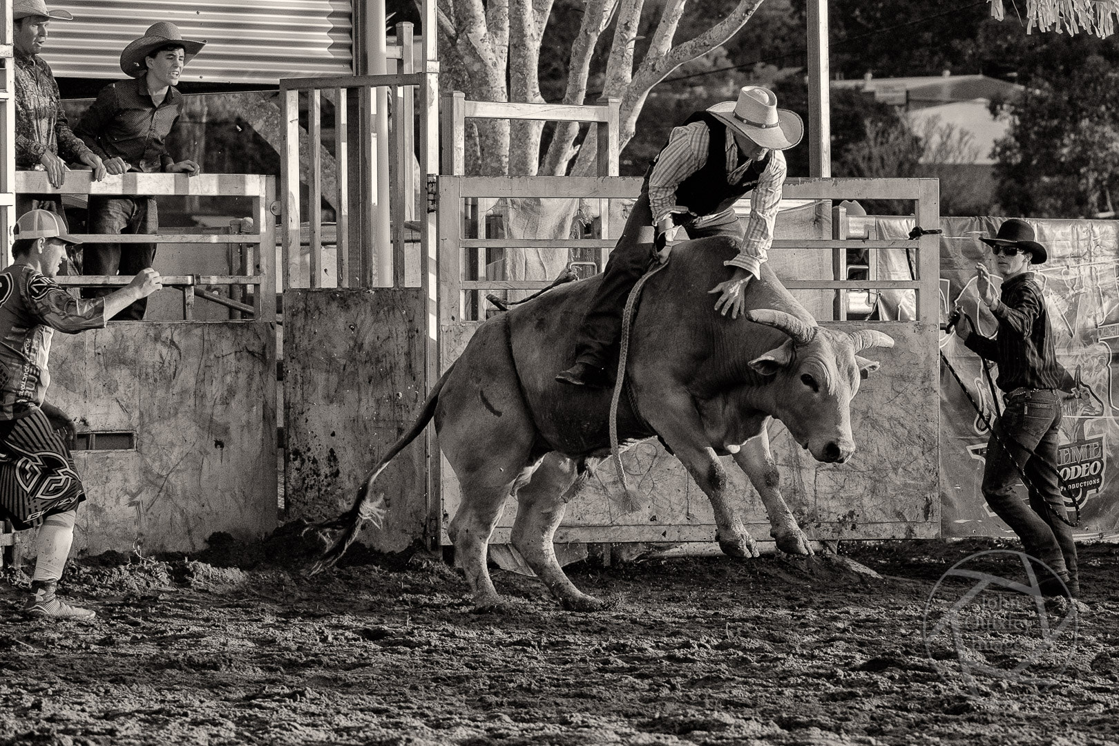 Fujifilm XF 100-400mm F4.5-5.6 R LM OIS WR sample photo. Dayboro bullride mono photography