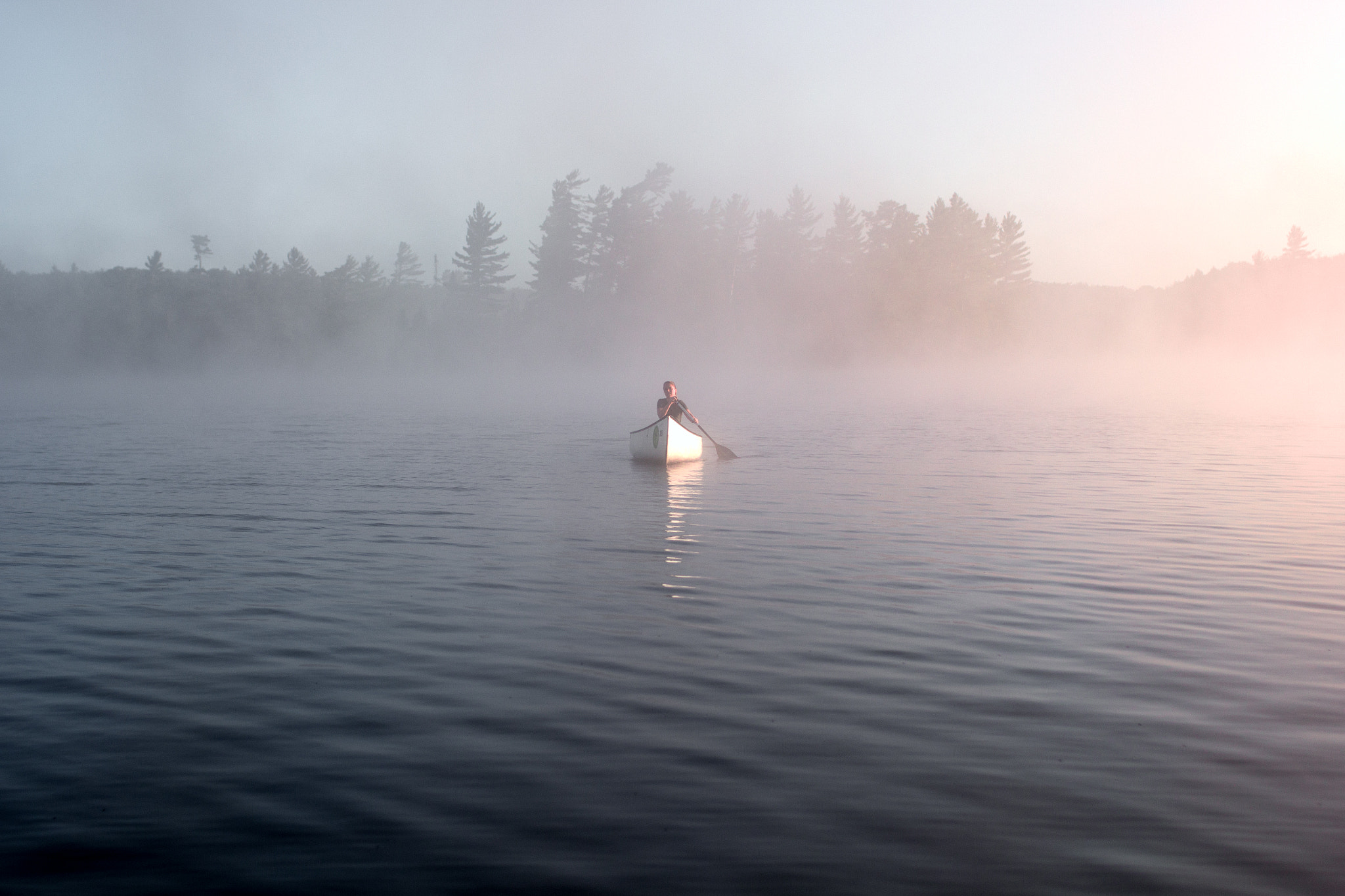 Canon EOS 60D + Canon EF 35mm F1.4L USM sample photo. Algonquin photography