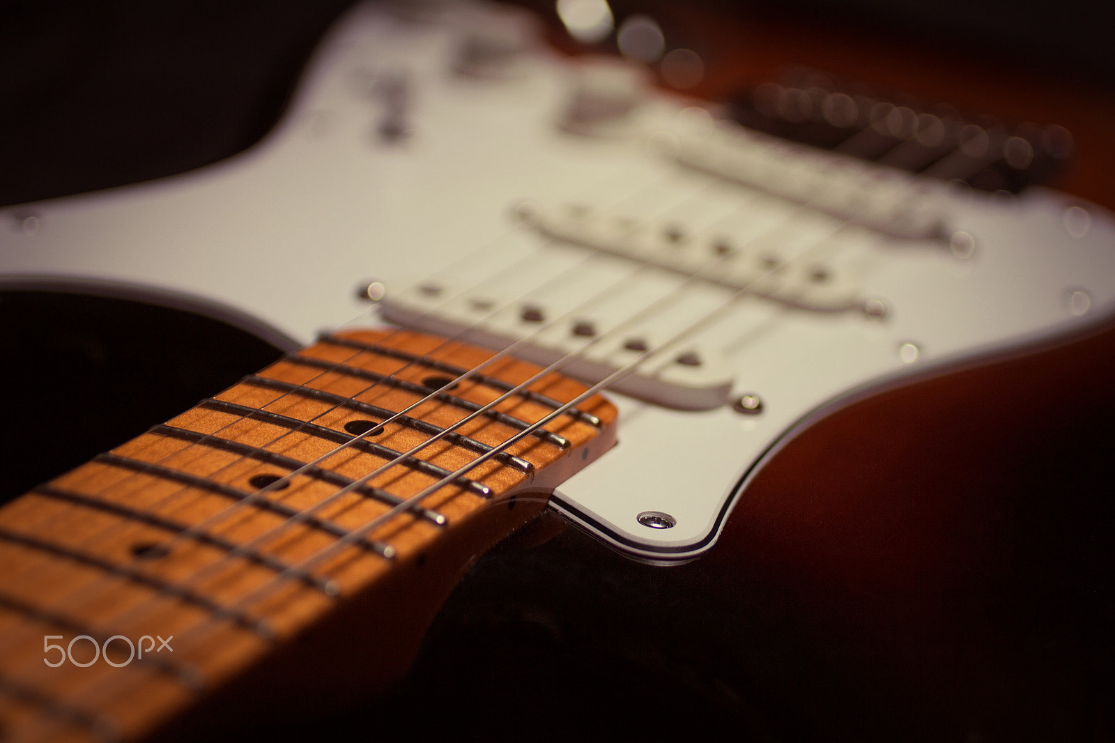 Canon EOS 700D (EOS Rebel T5i / EOS Kiss X7i) + Canon EF 50mm F2.5 Macro sample photo. Fender fsr stratocaster photography