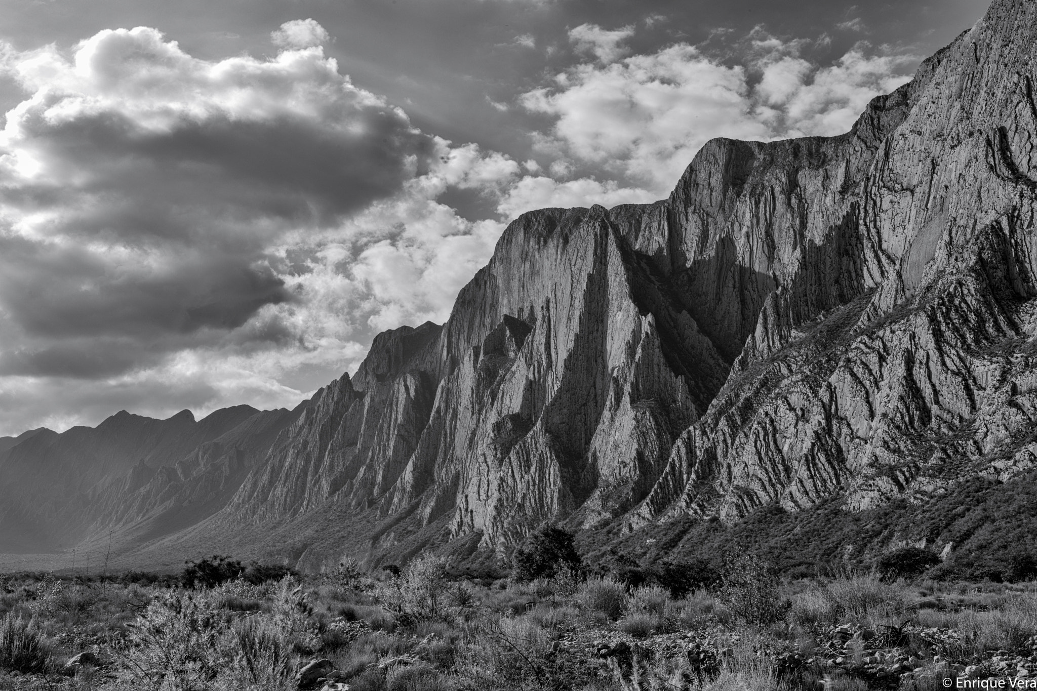 ZEISS Makro-Planar T* 50mm F2 sample photo. Huasteca photography