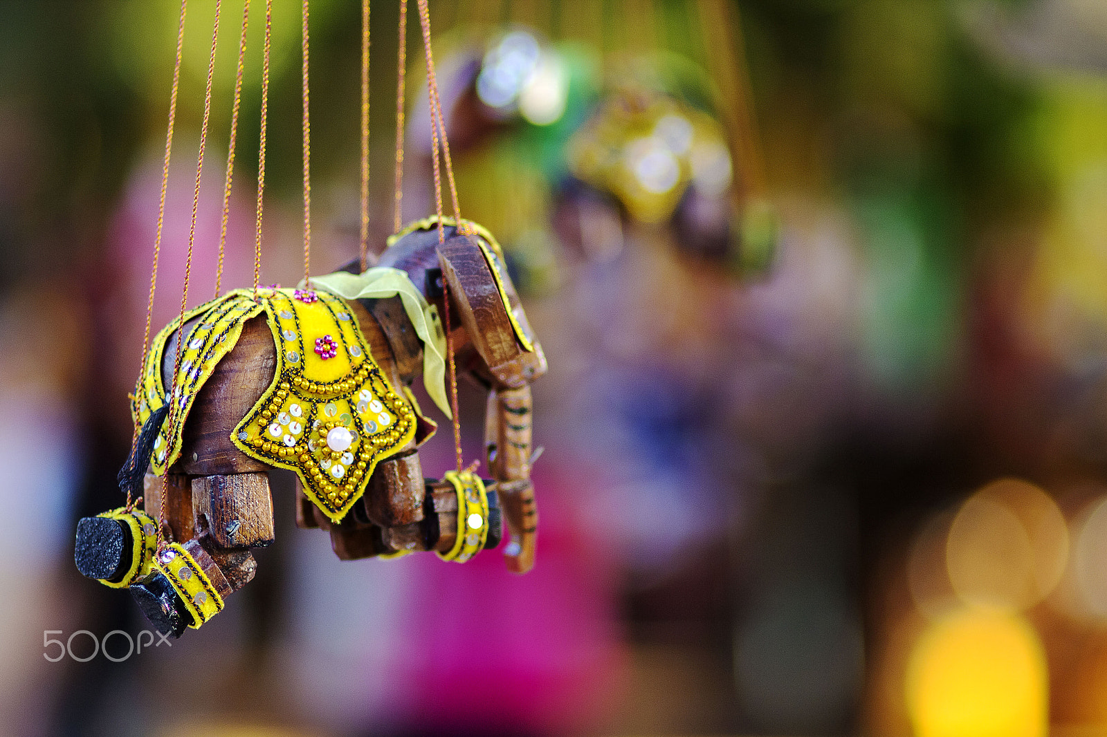 Canon EOS 60D + Canon EF 100mm F2.0 USM sample photo. The small elephant photography