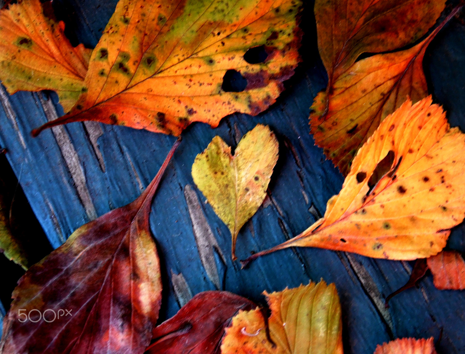 Samsung WB110/  WB111 sample photo. Falling hearts photography