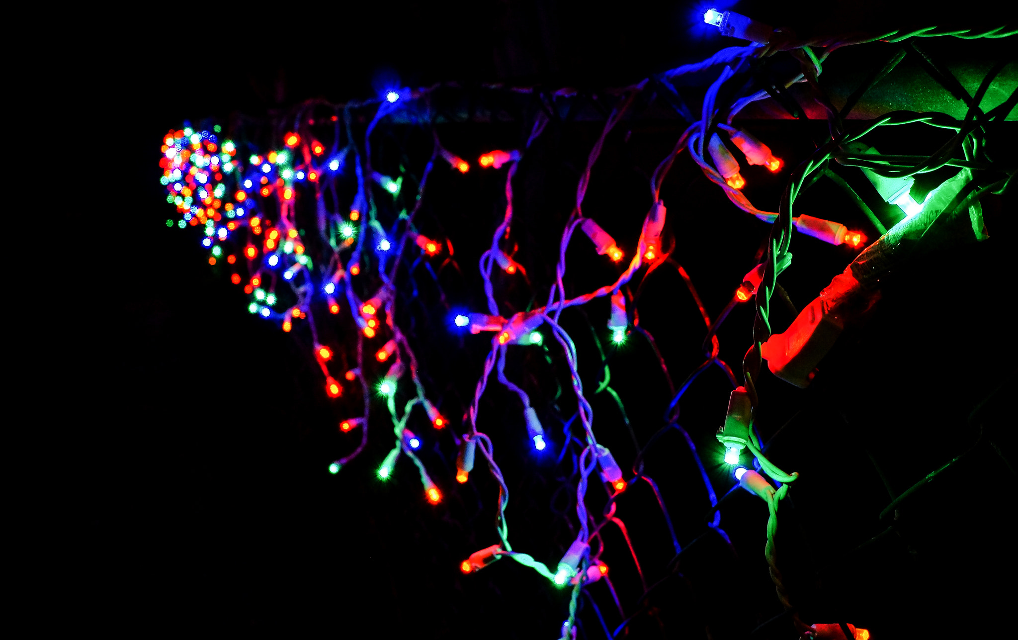 Sony DT 18-55mm F3.5-5.6 SAM II sample photo. Holiday colors photography