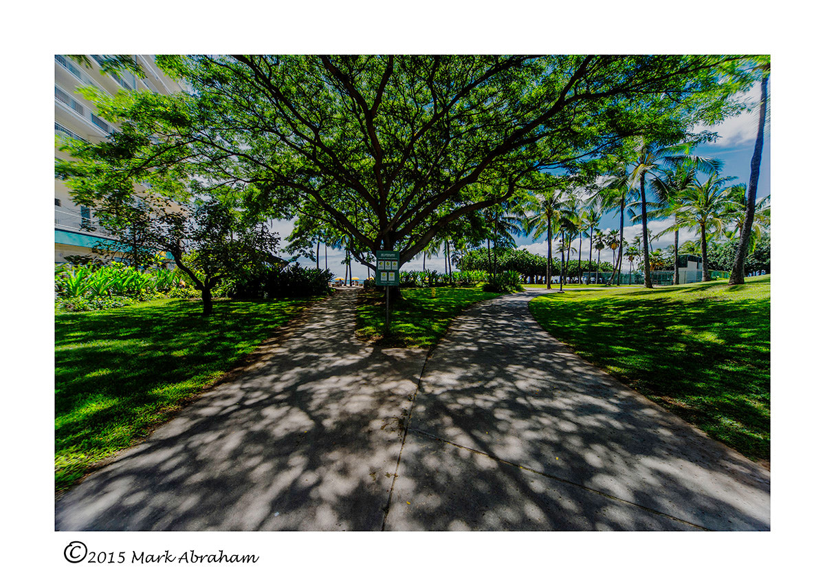 Nikon Df + Sigma 12-24mm F4.5-5.6 EX DG Aspherical HSM sample photo. Image photography