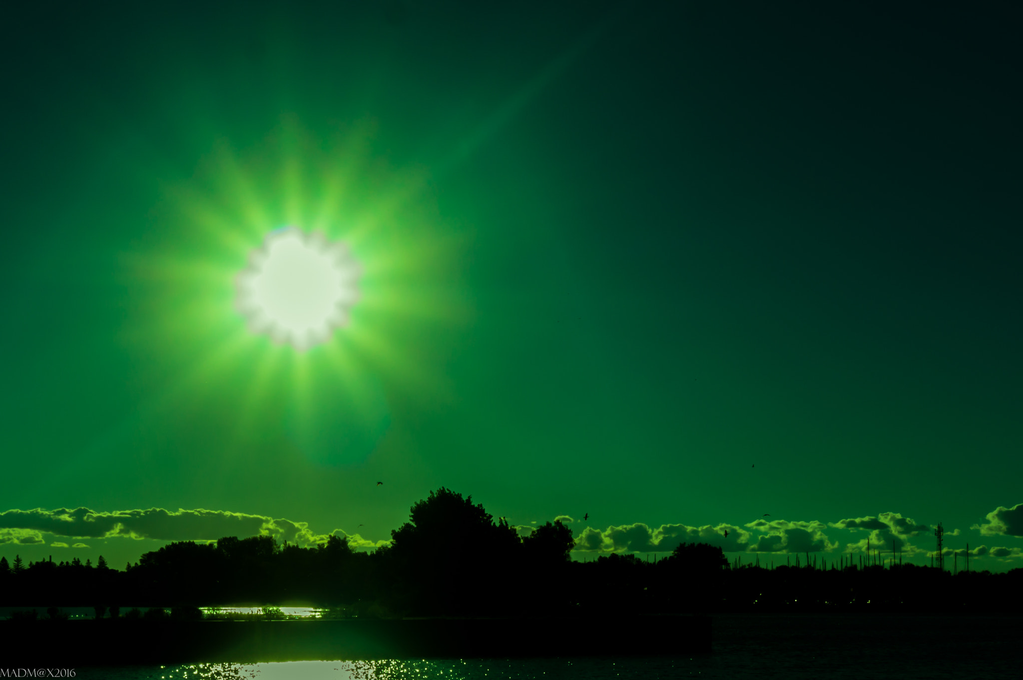 Sony Alpha NEX-7 sample photo. Soylent green photography