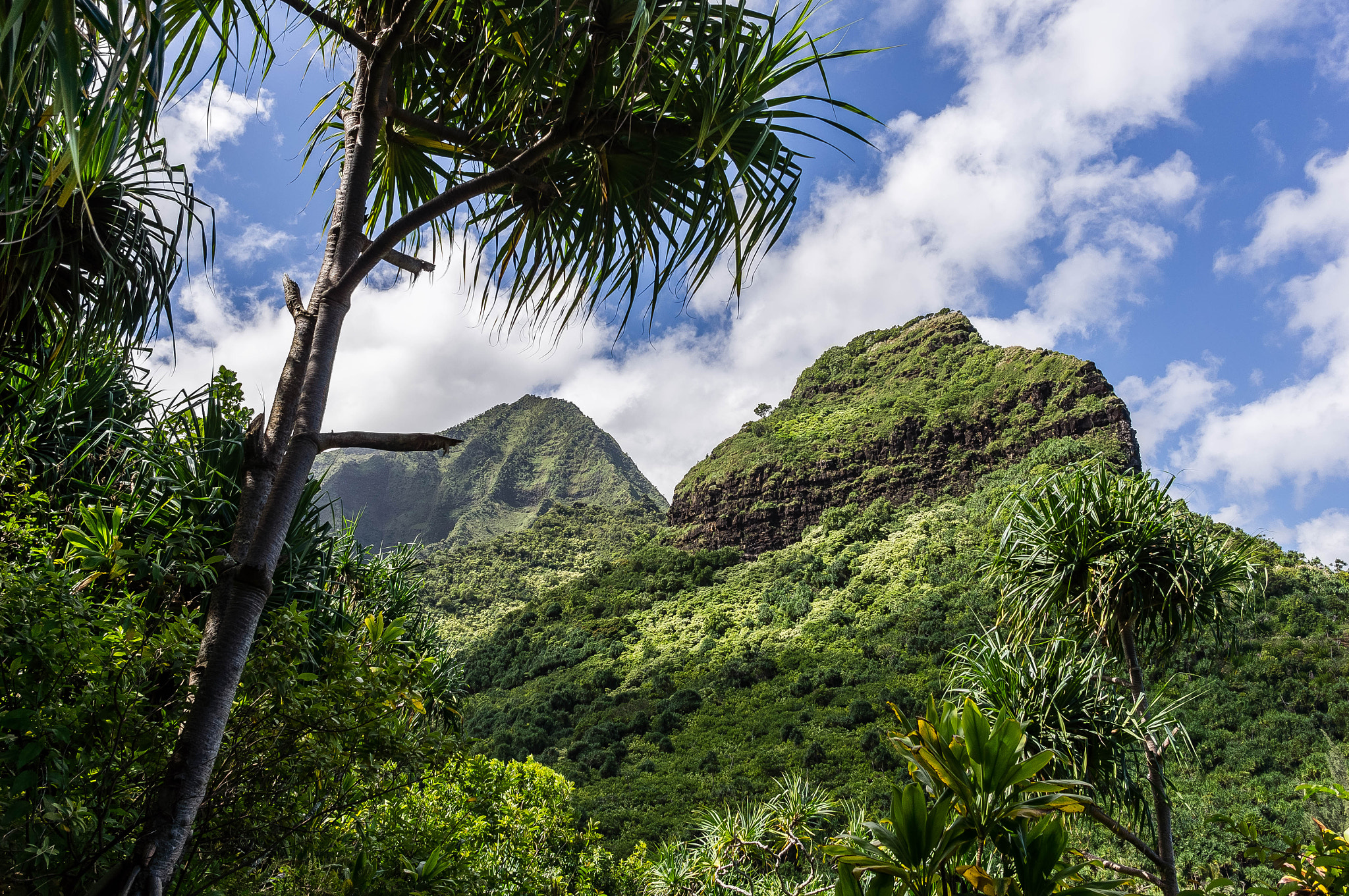 Sony Alpha NEX-5N + Sigma 19mm F2.8 EX DN sample photo. Kalalau trail view photography